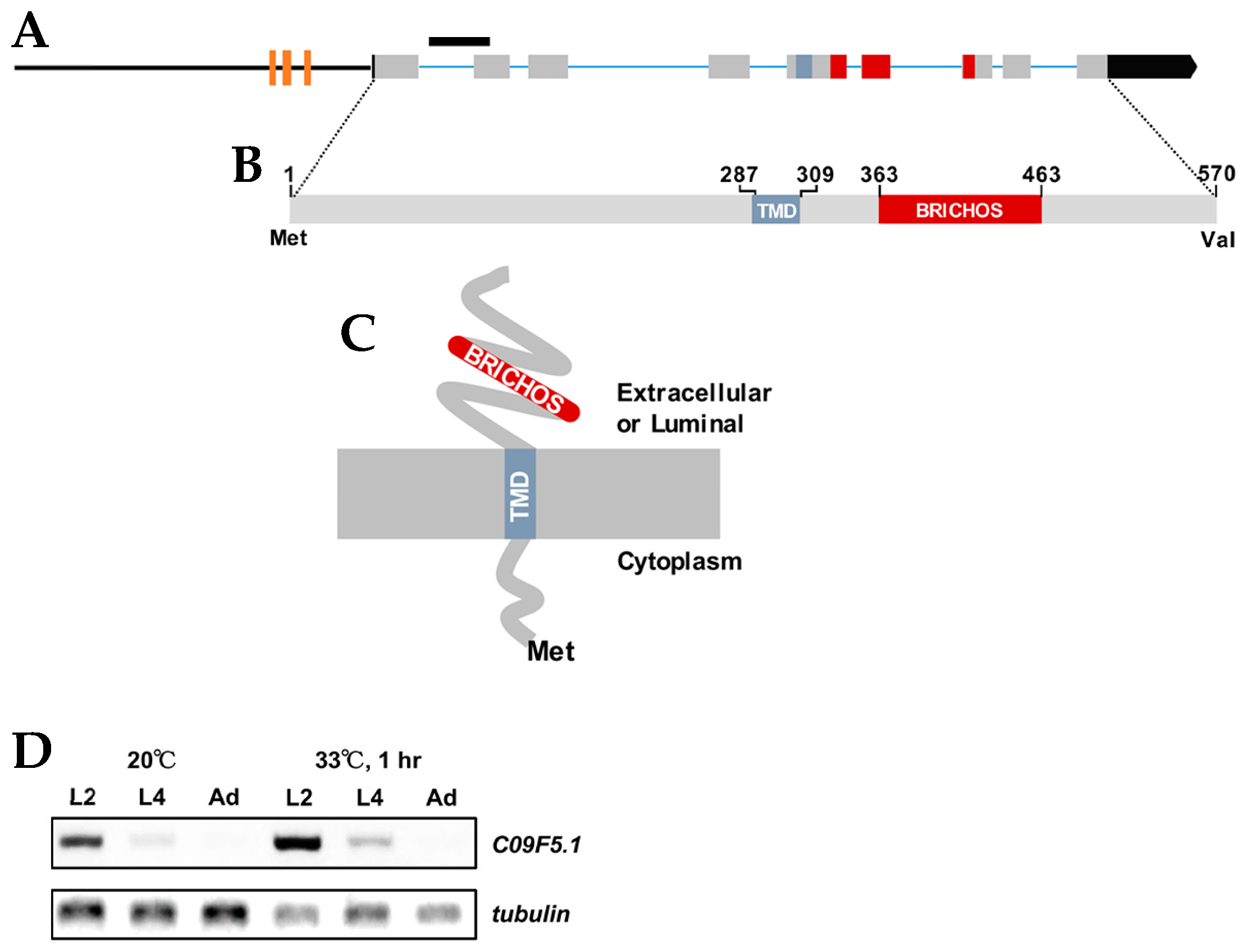 Genes 09 00160 g001