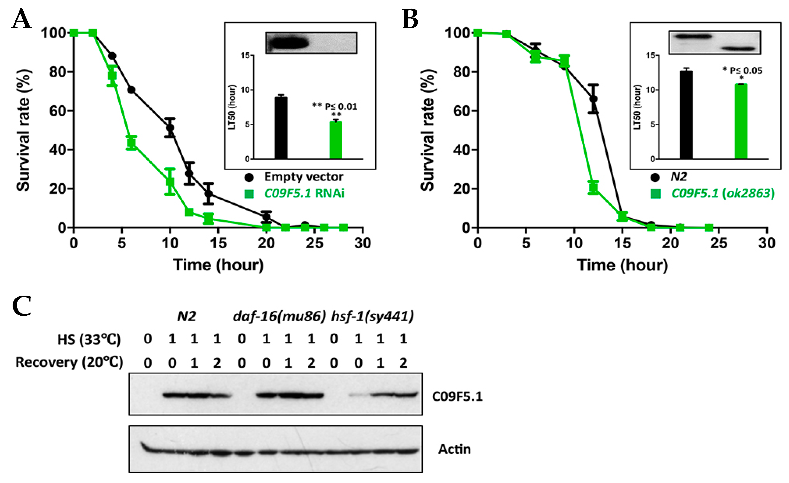Genes 09 00160 g003