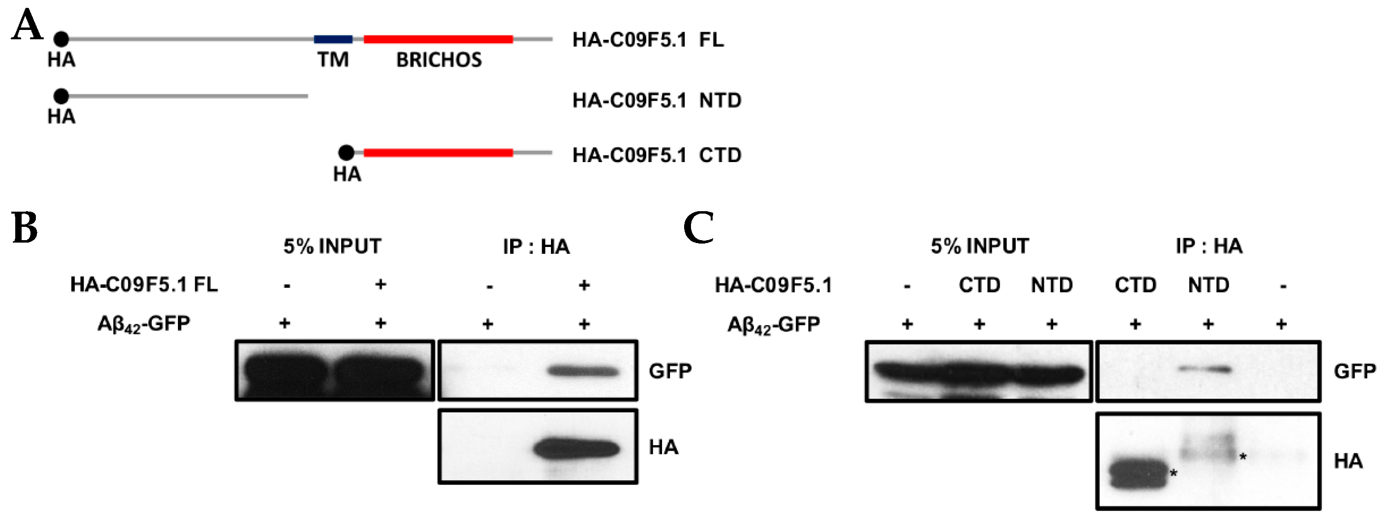 Genes 09 00160 g004