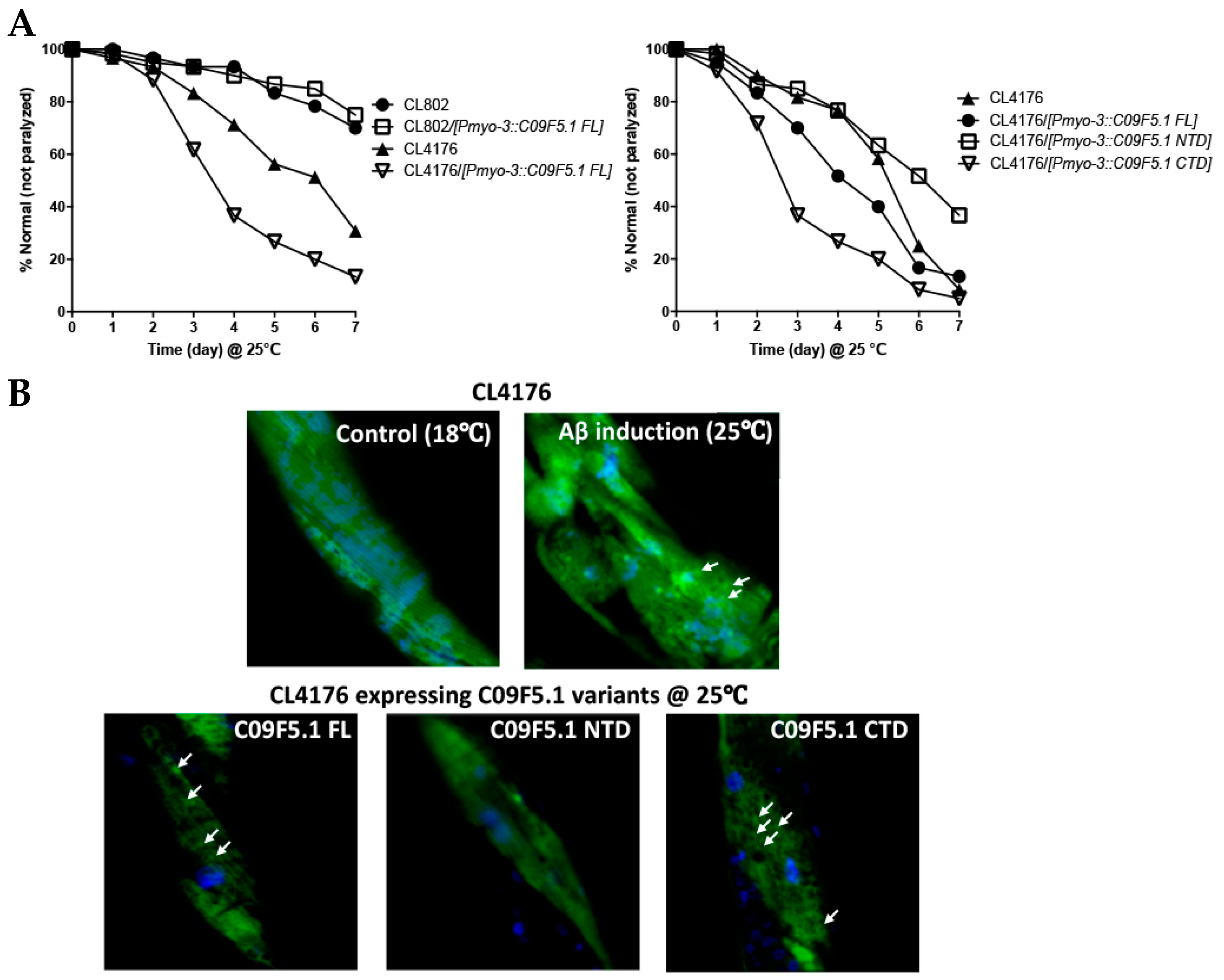 Genes 09 00160 g005a
