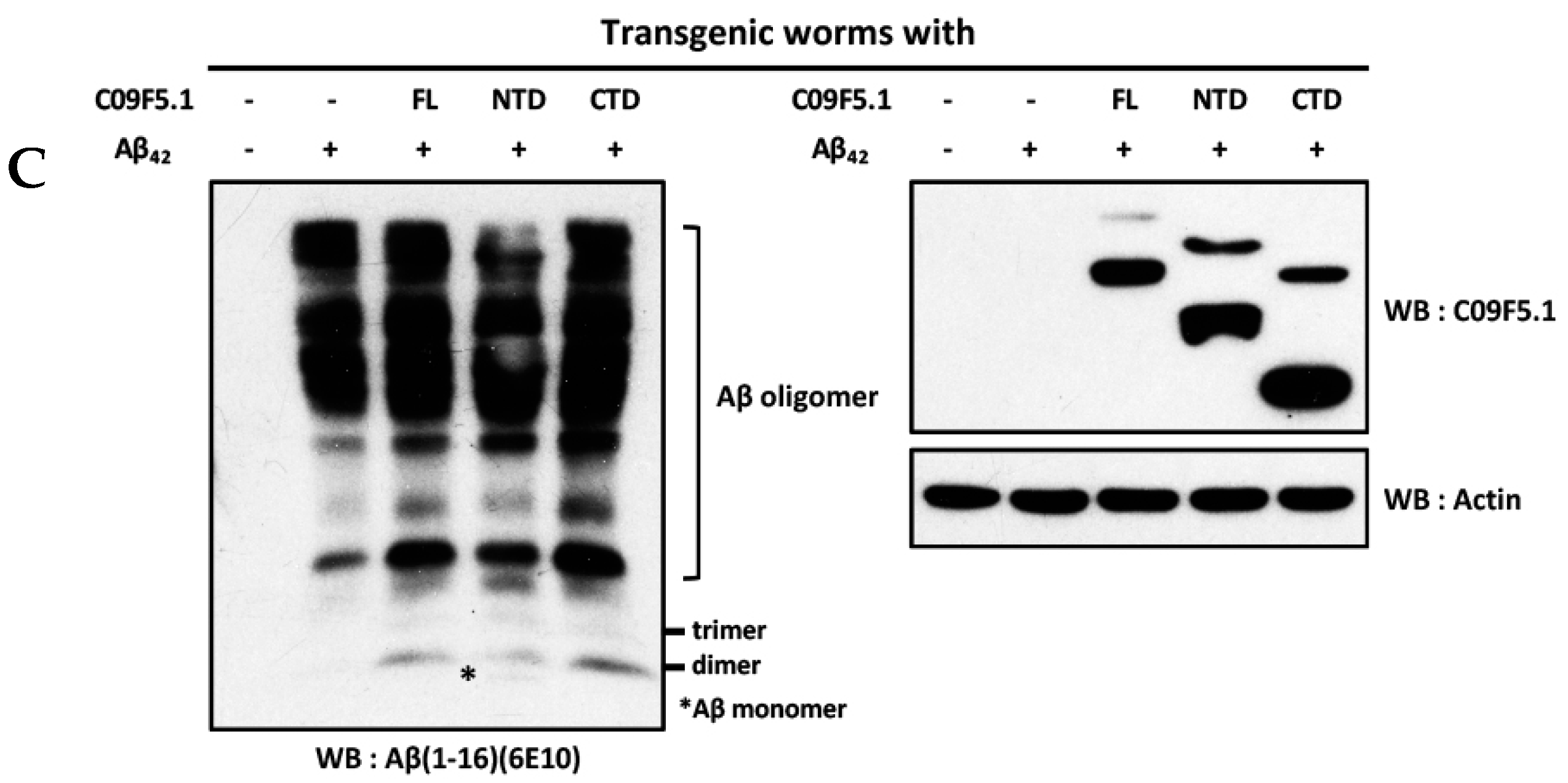 Genes 09 00160 g005b