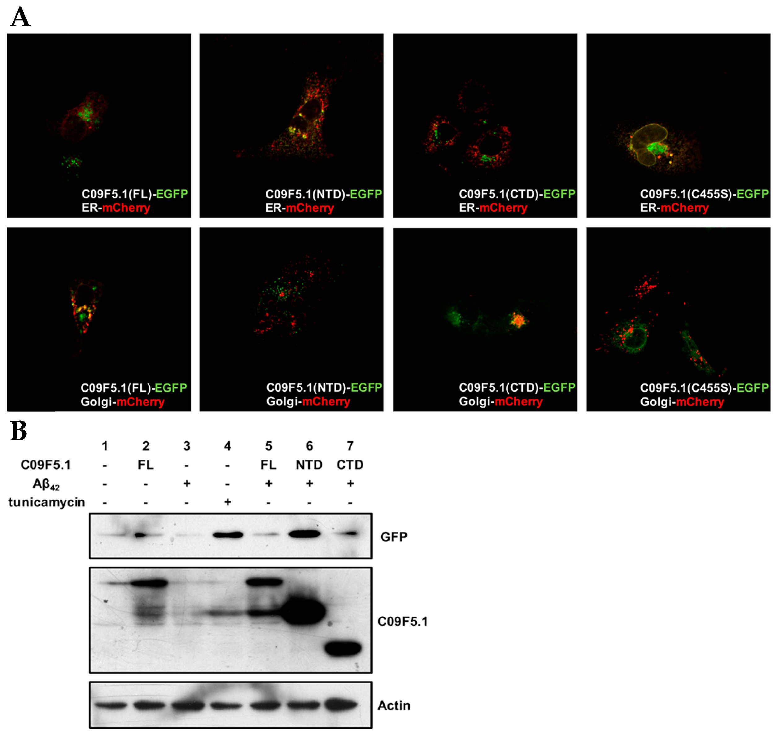 Genes 09 00160 g006