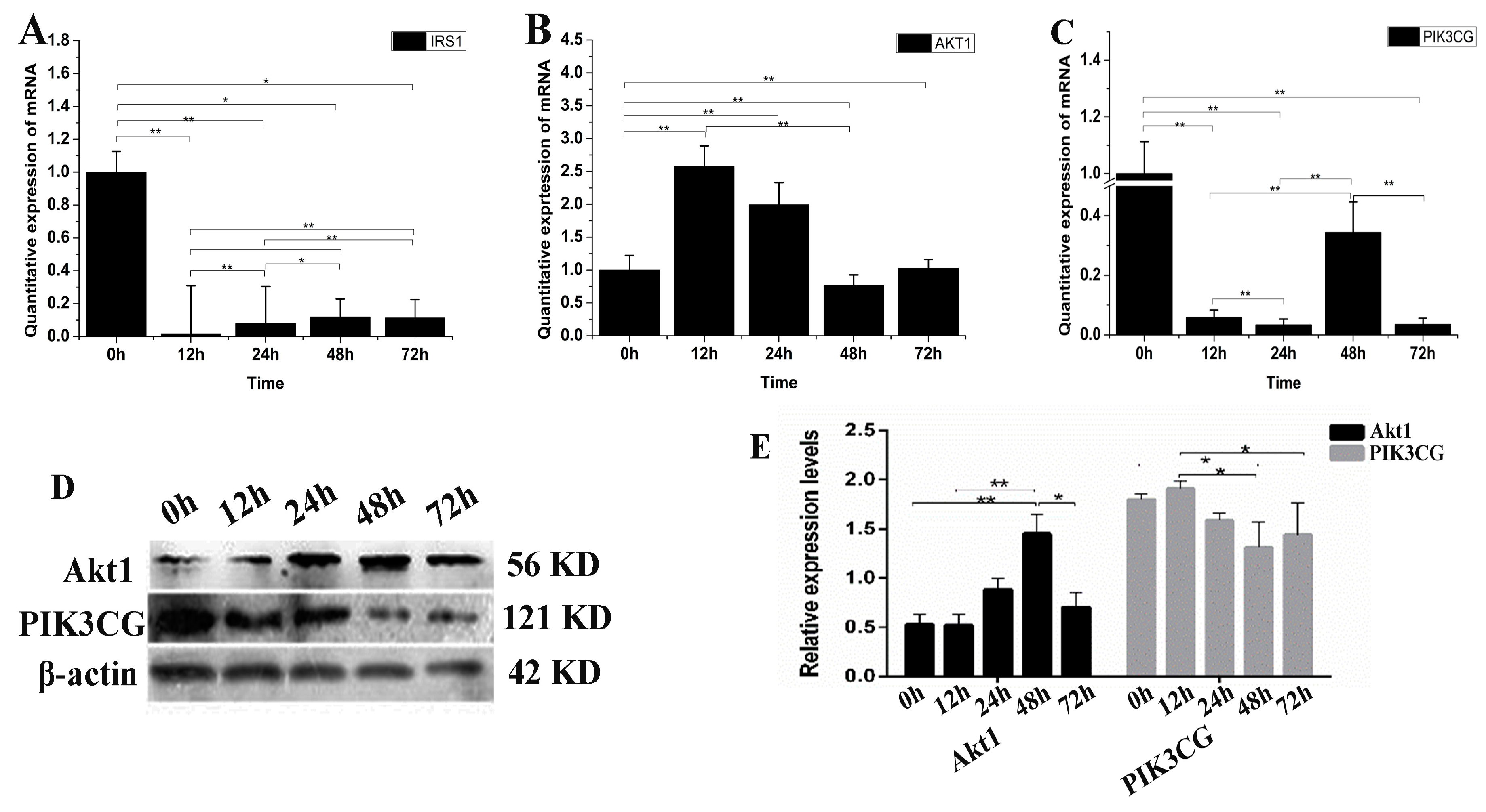 Genes 09 00169 g005 Genes 09 00169 g005