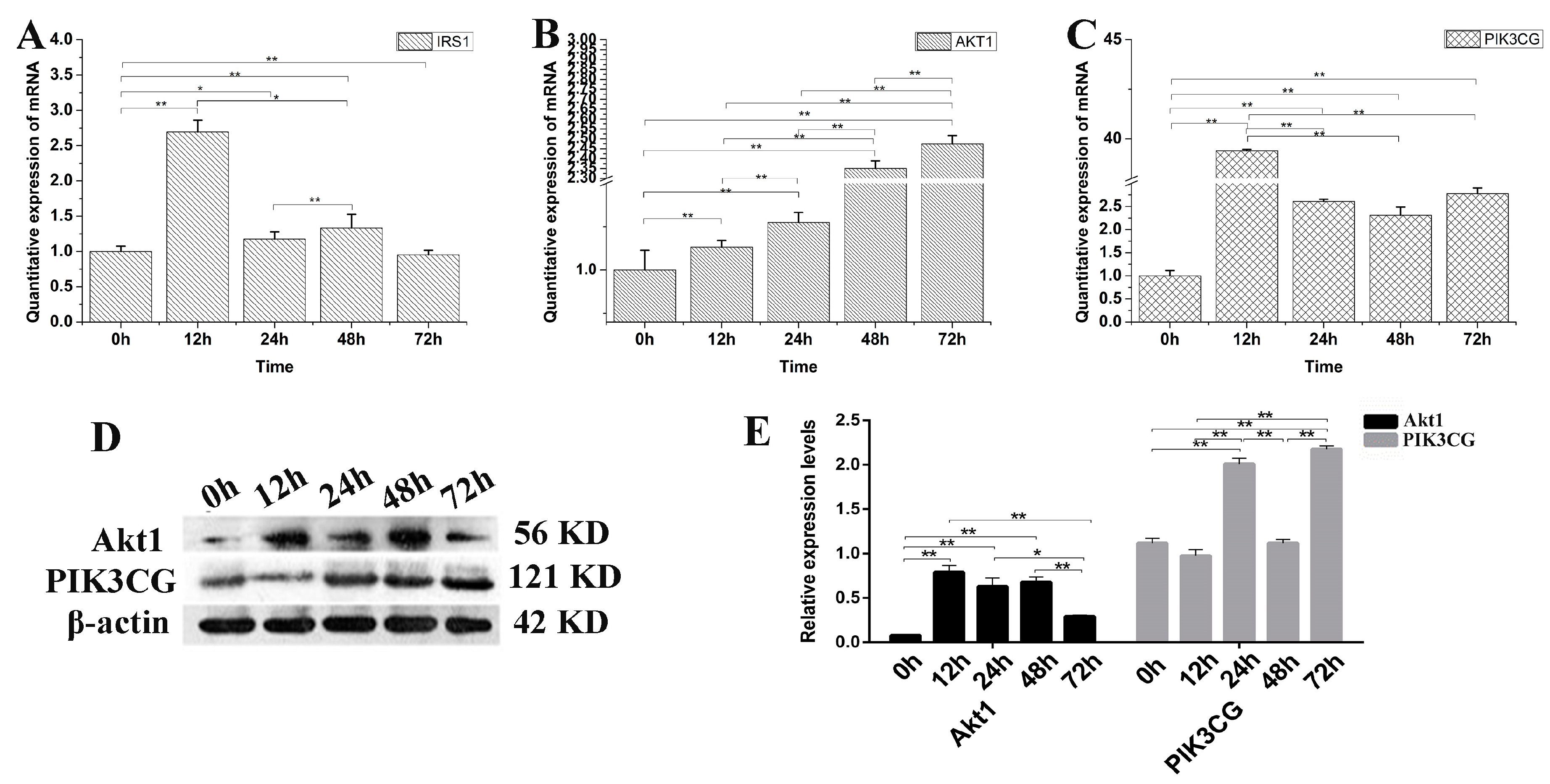 Genes 09 00169 g006 Genes 09 00169 g006