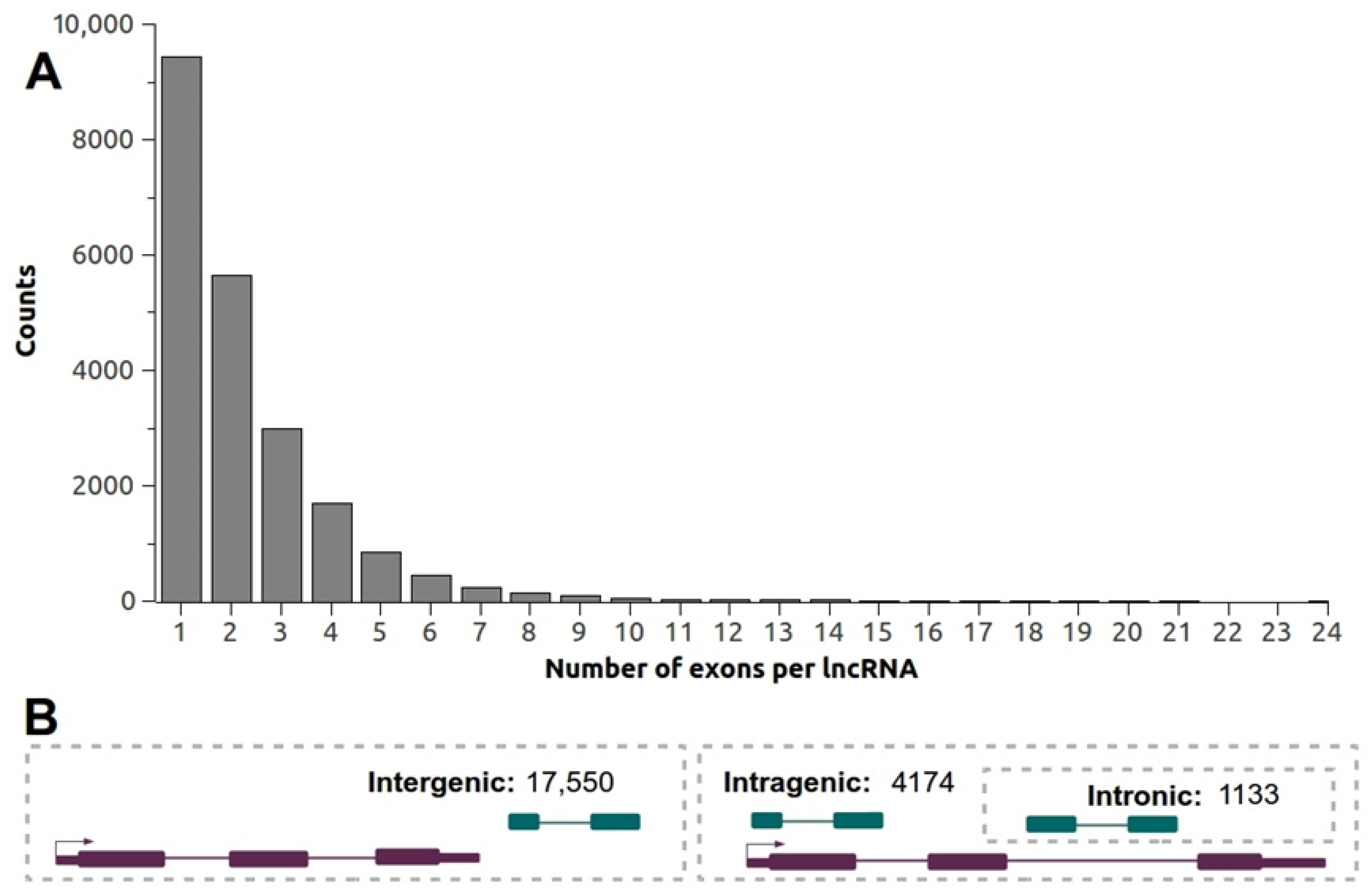 Genes 09 00170 g004