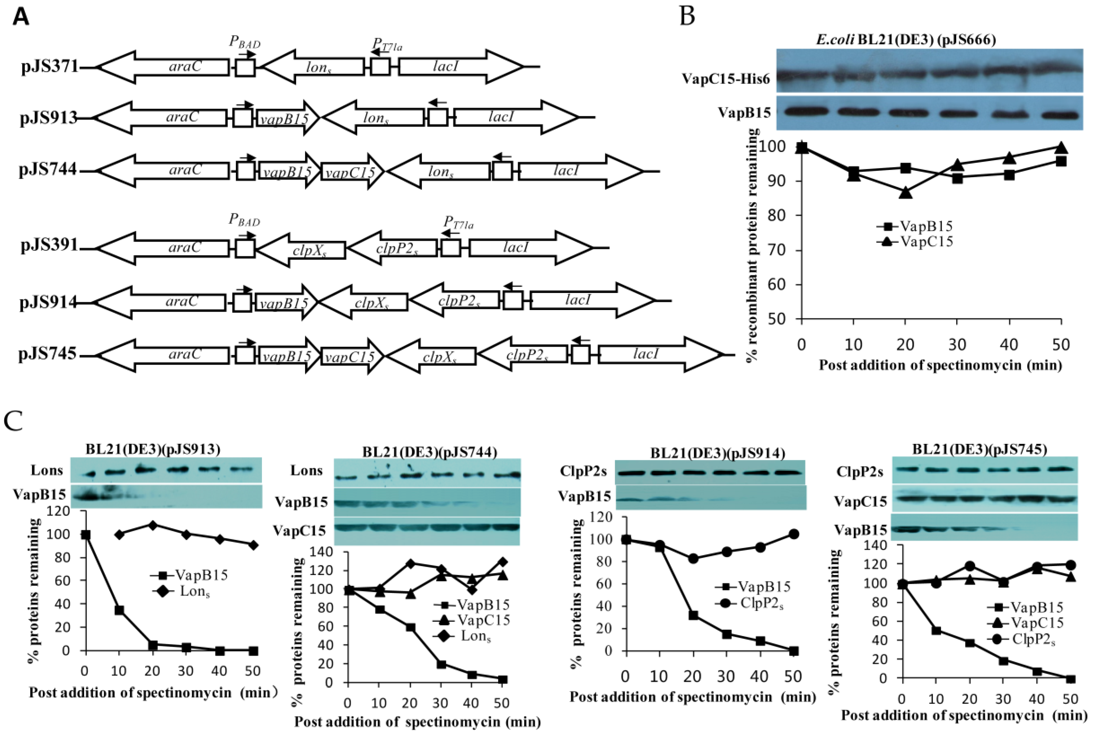 Genes 09 00173 g005