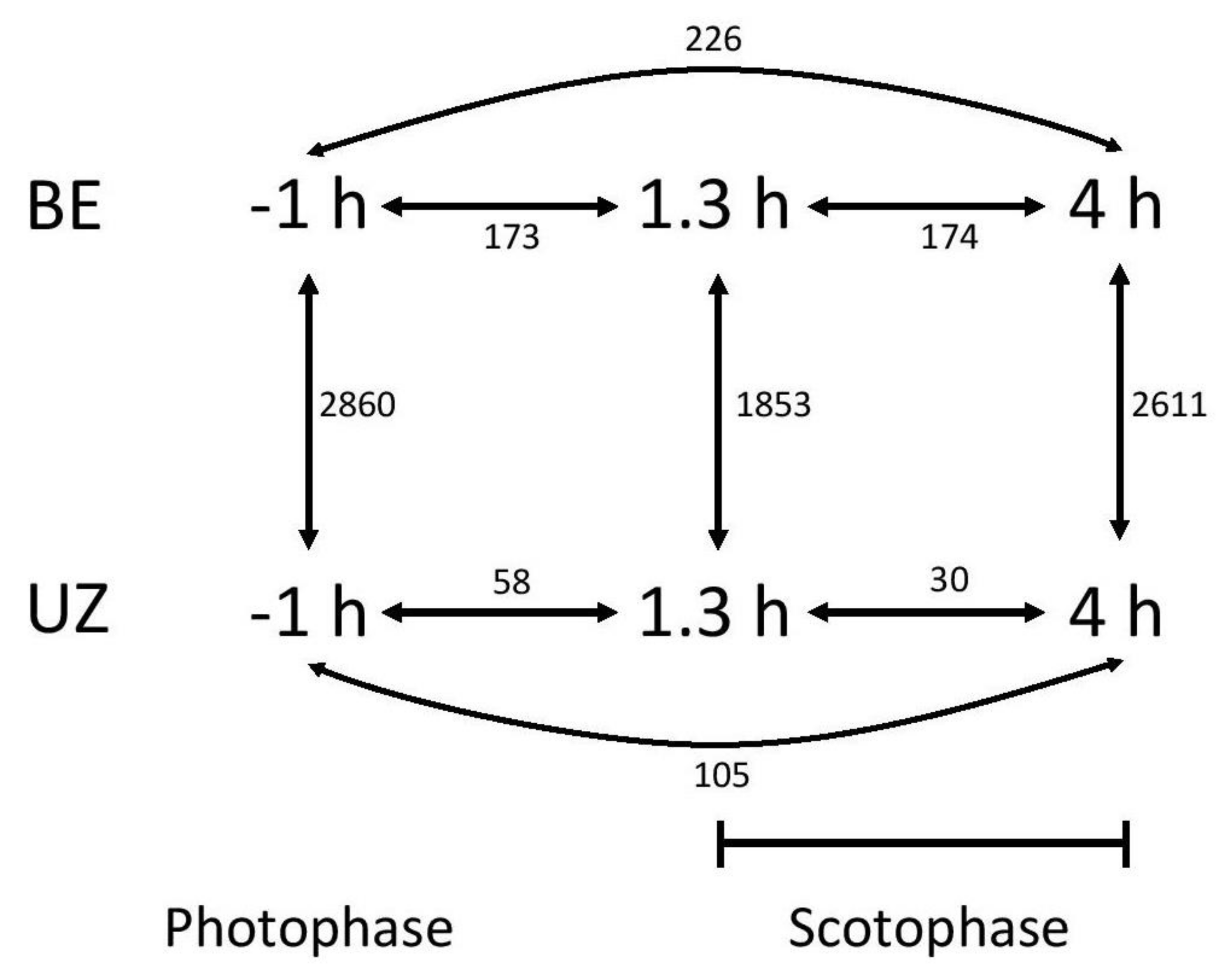 Genes 09 00180 g002 Genes 09 00180 g002