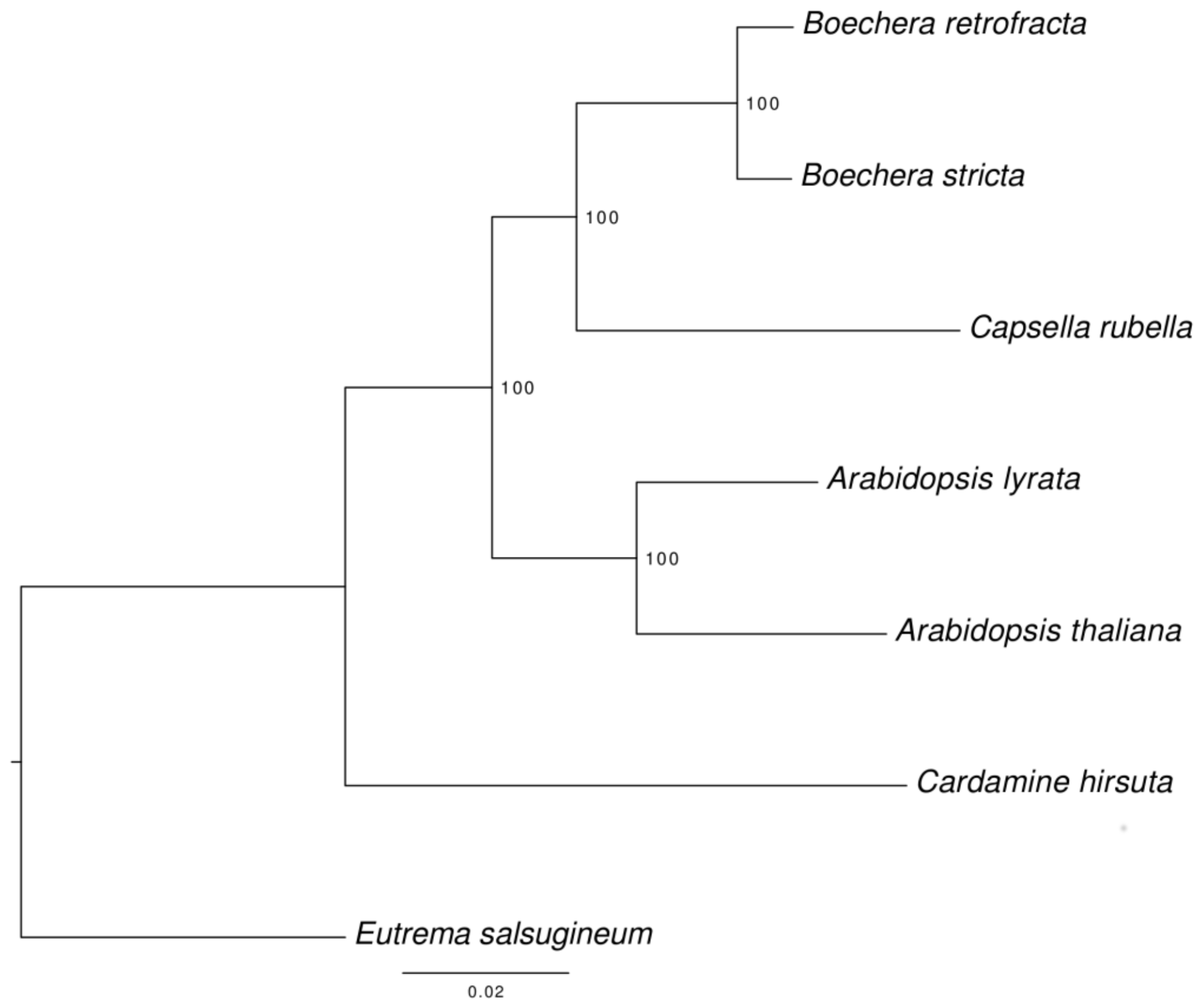 Genes 09 00185 g003