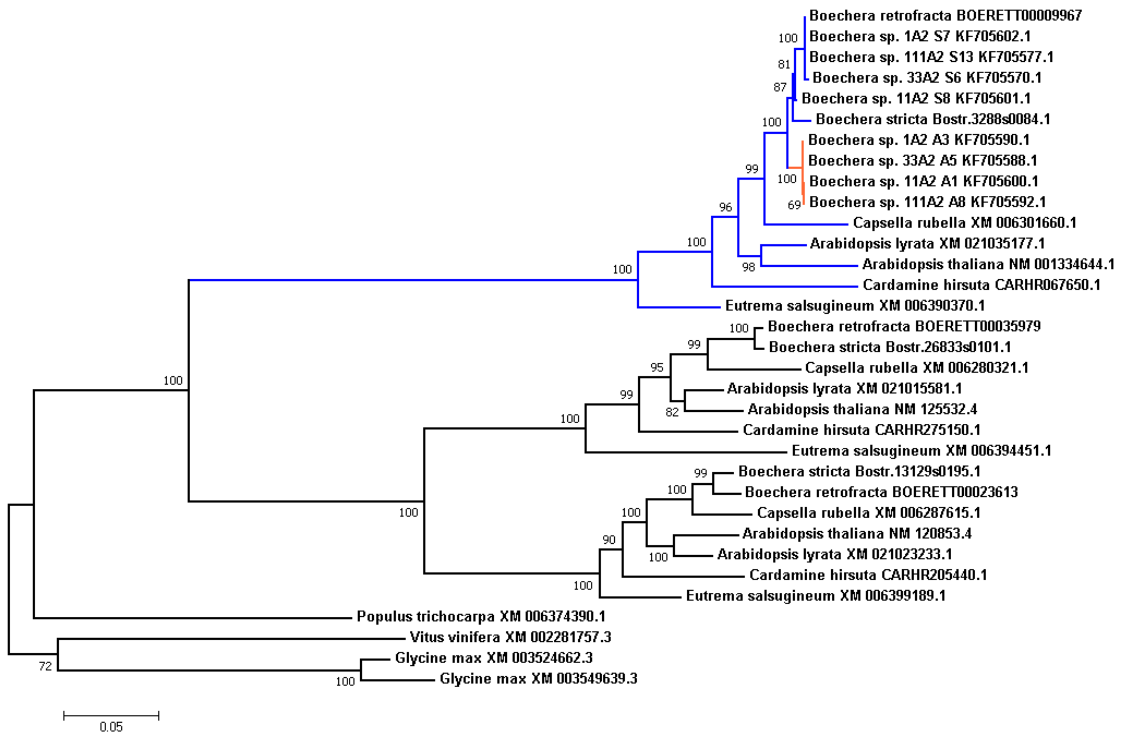 Genes 09 00185 g004