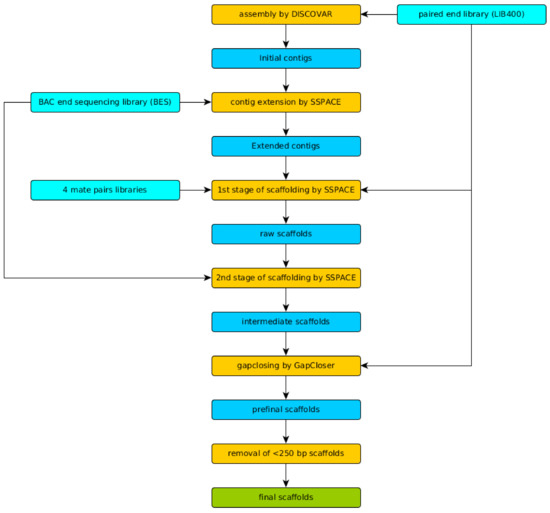 Genes 09 00185 g0a1