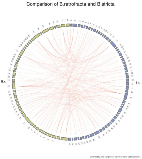 Genes 09 00185 g0c1