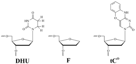 Genes 09 00190 i001 Genes 09 00190 i001