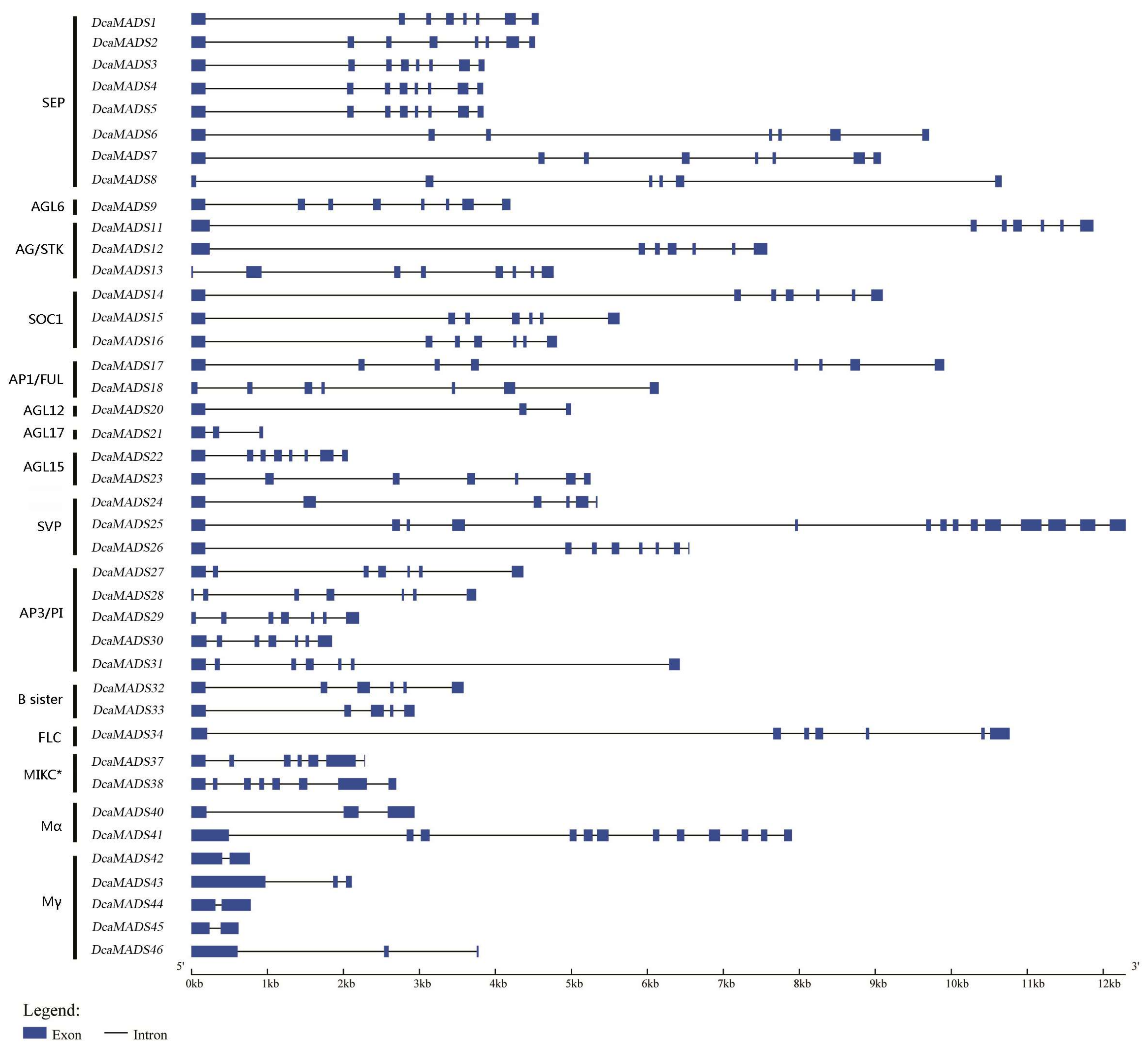 Genes 09 00193 g001 Genes 09 00193 g001