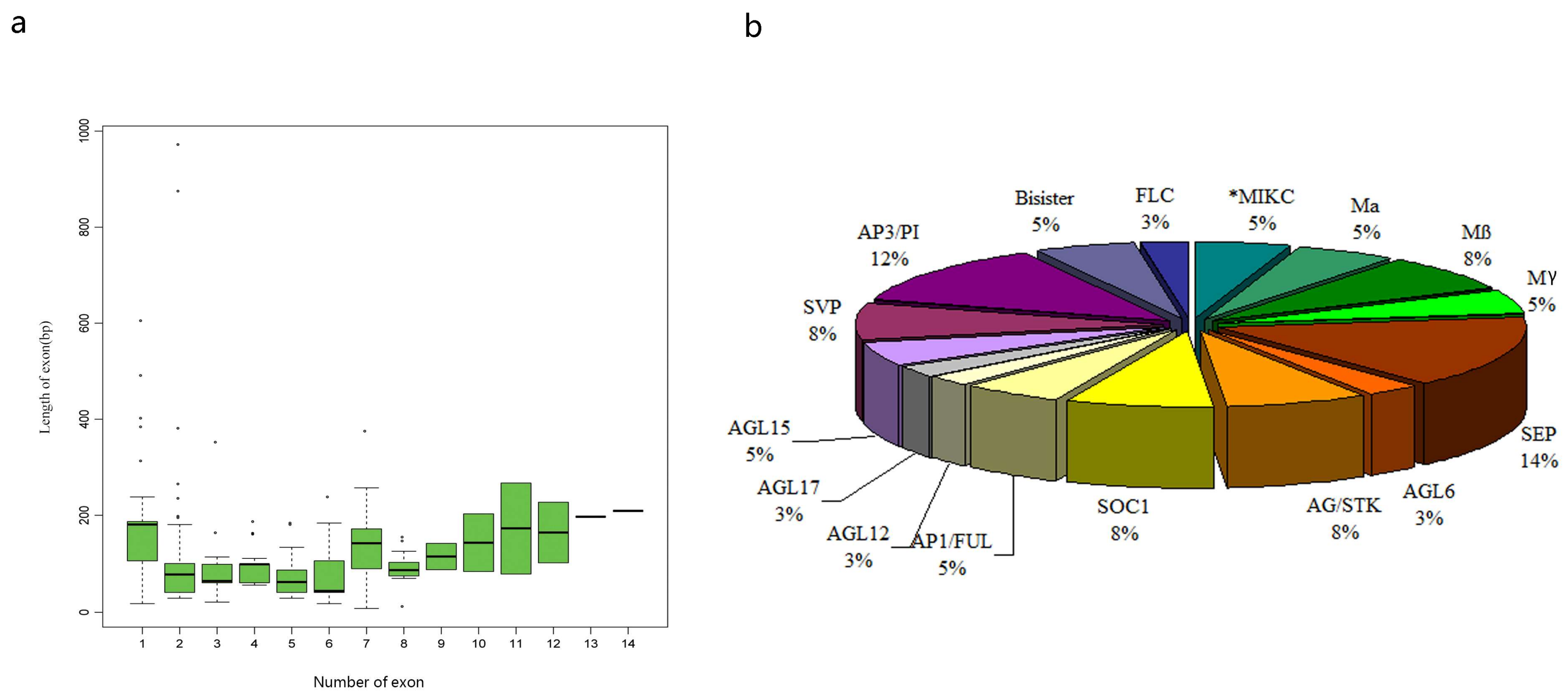 Genes 09 00193 g002 Genes 09 00193 g002