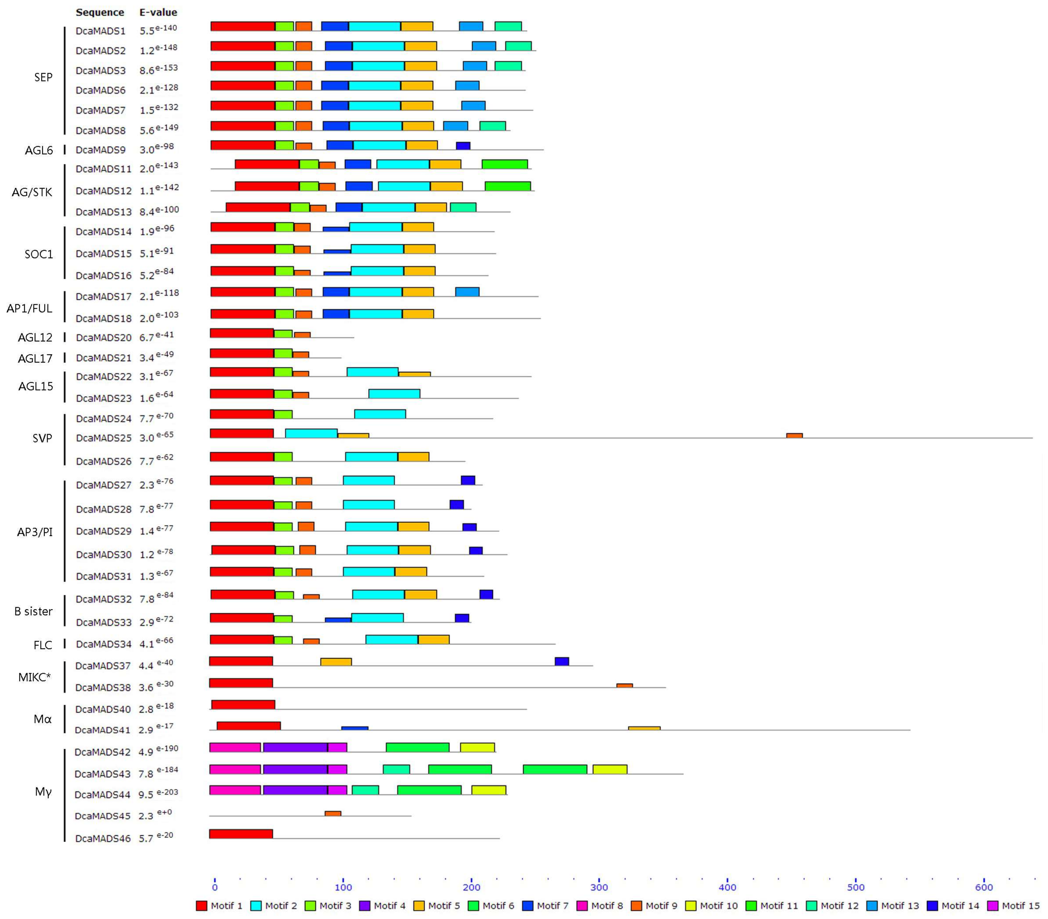 Genes 09 00193 g003 Genes 09 00193 g003