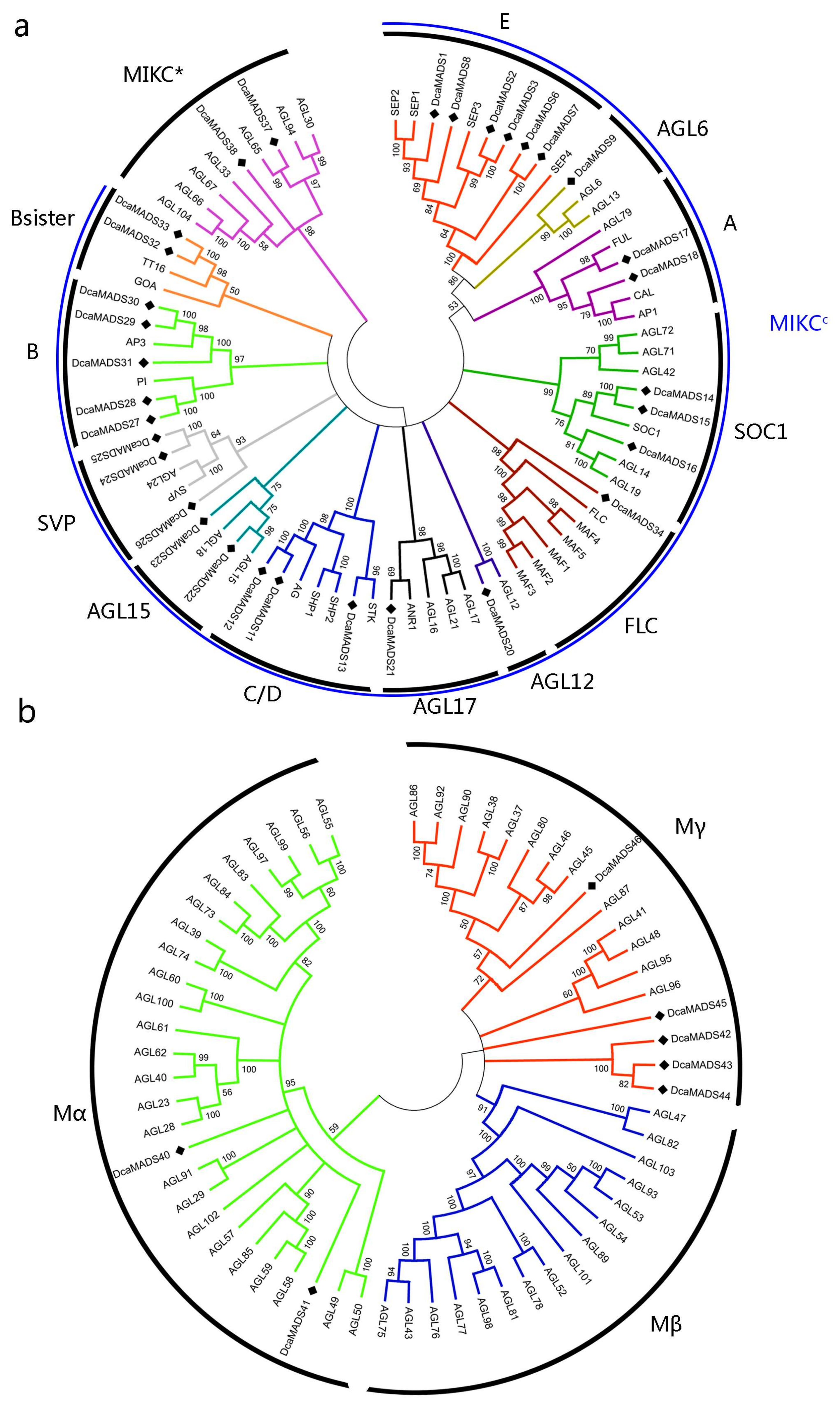 Genes 09 00193 g004 Genes 09 00193 g004