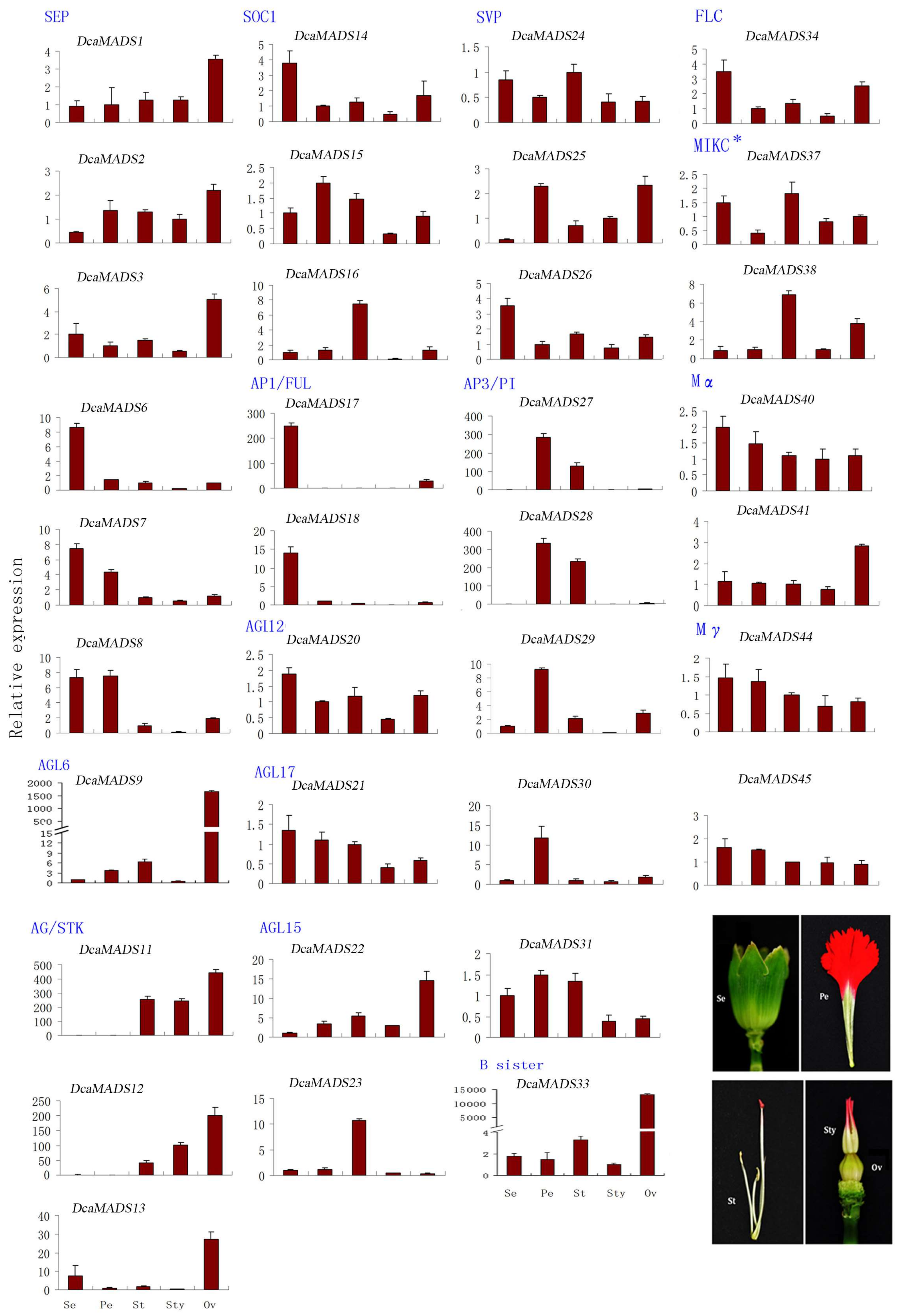 Genes 09 00193 g006 Genes 09 00193 g006