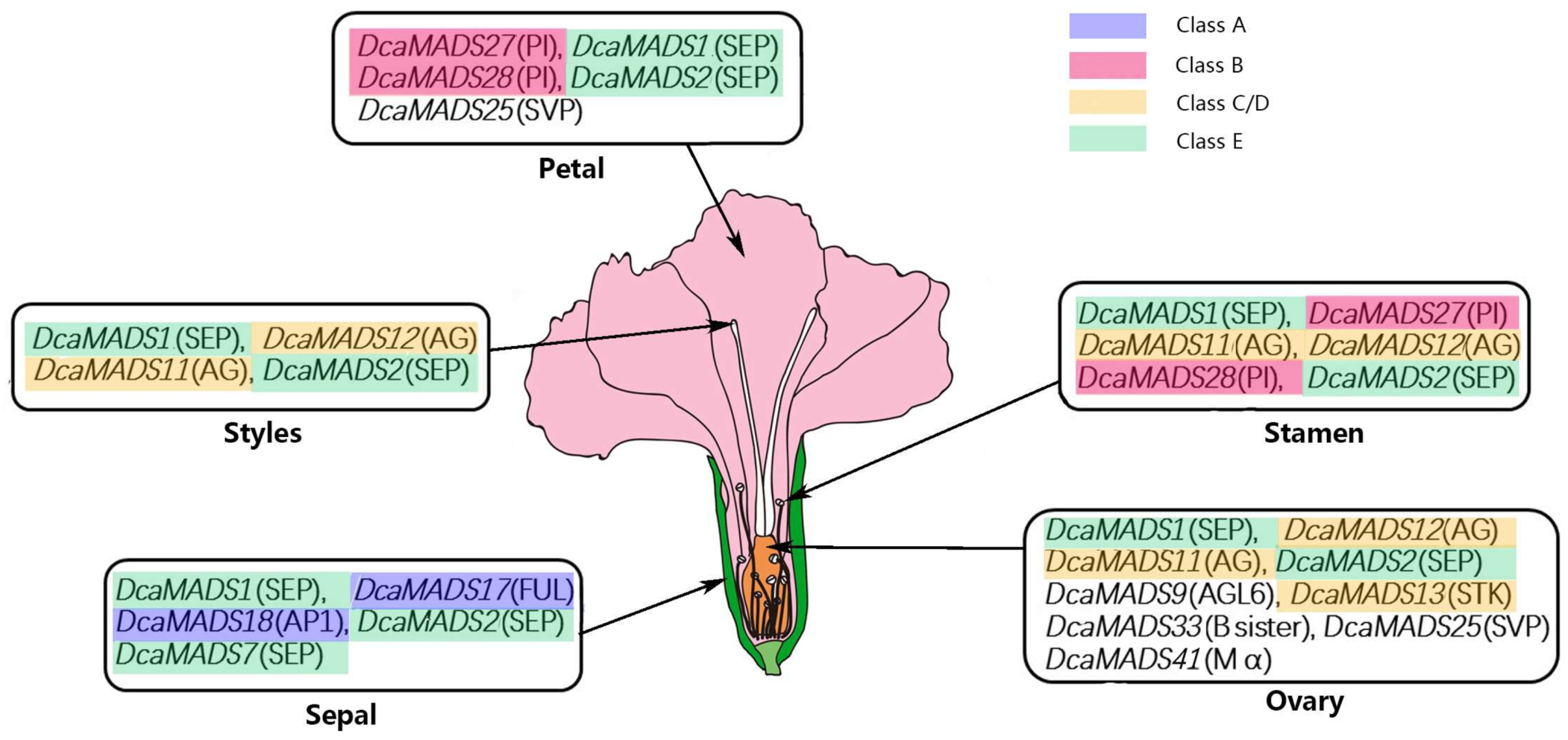 Genes 09 00193 g008 Genes 09 00193 g008