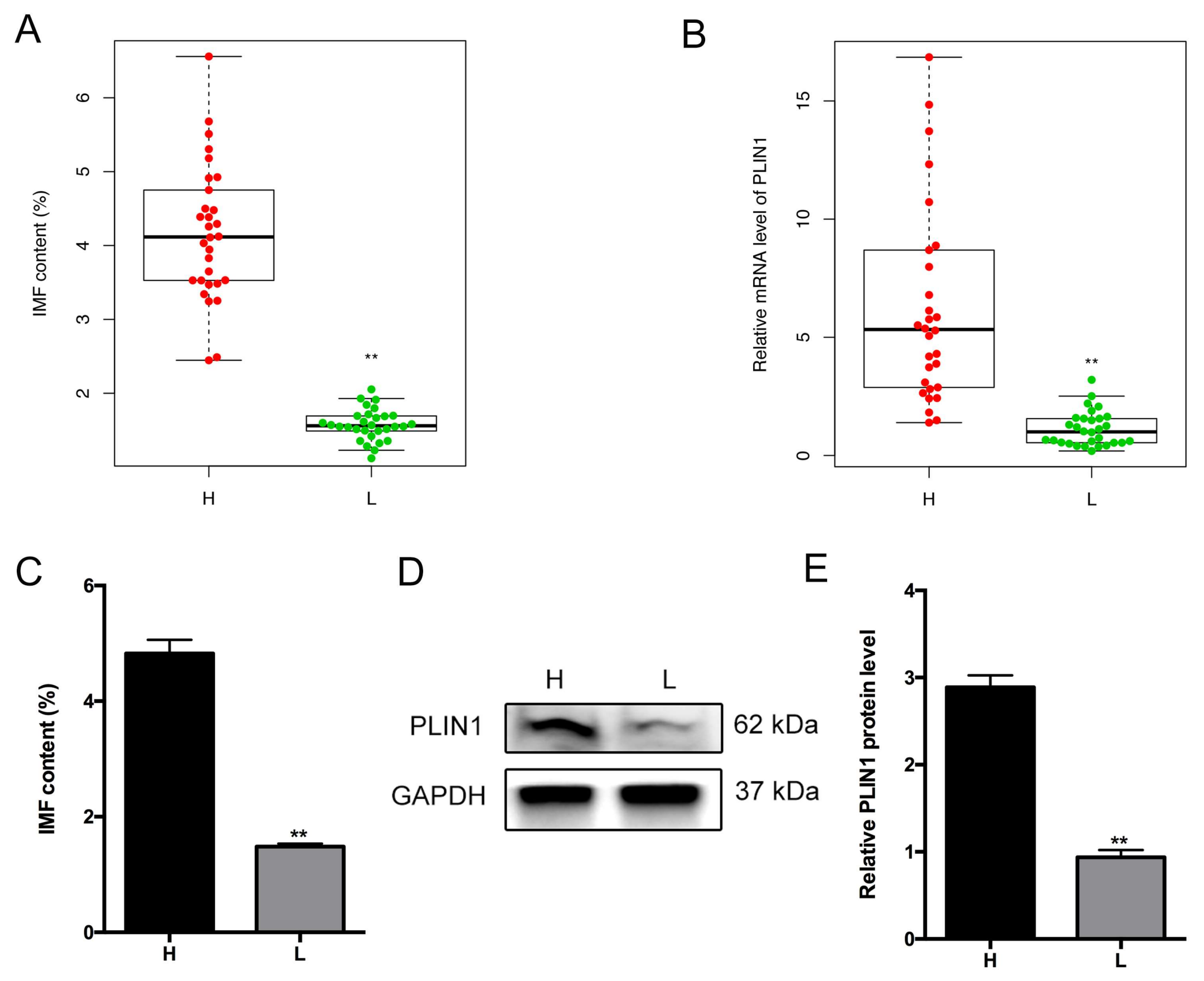 Genes 09 00194 g005 Genes 09 00194 g005