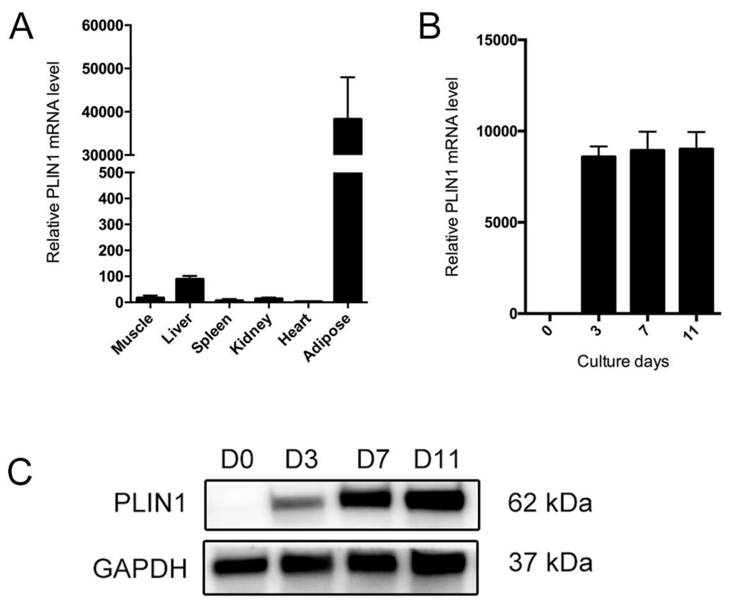 Genes 09 00194 g006 Genes 09 00194 g006