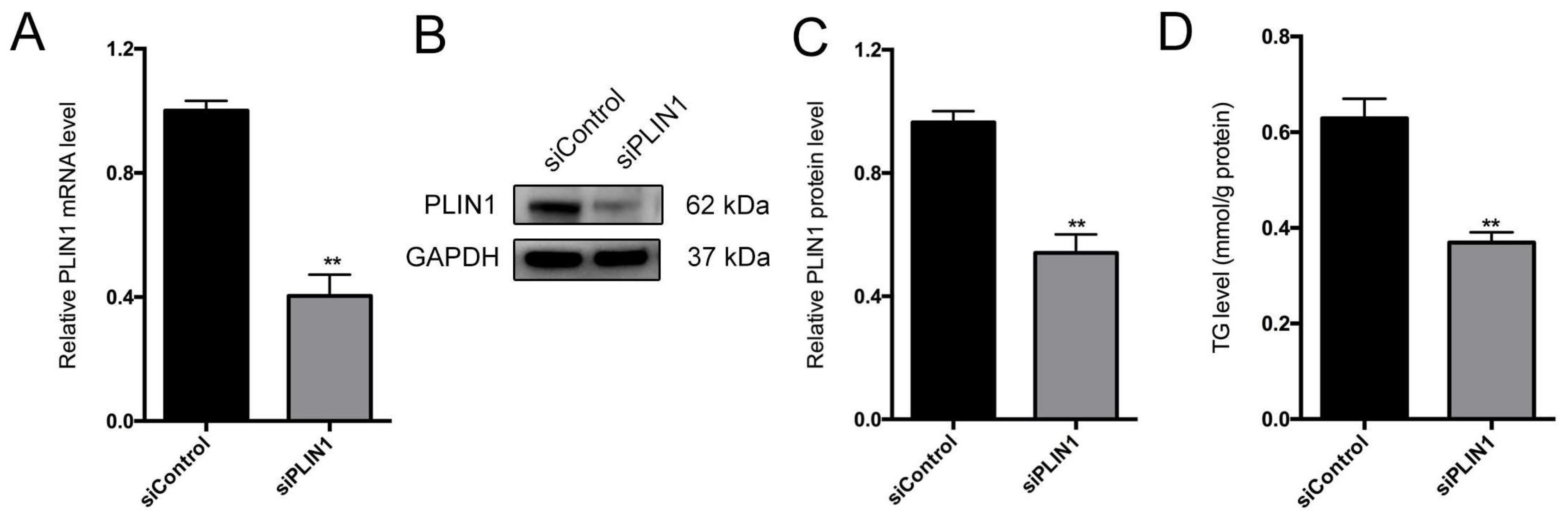 Genes 09 00194 g008a Genes 09 00194 g008a