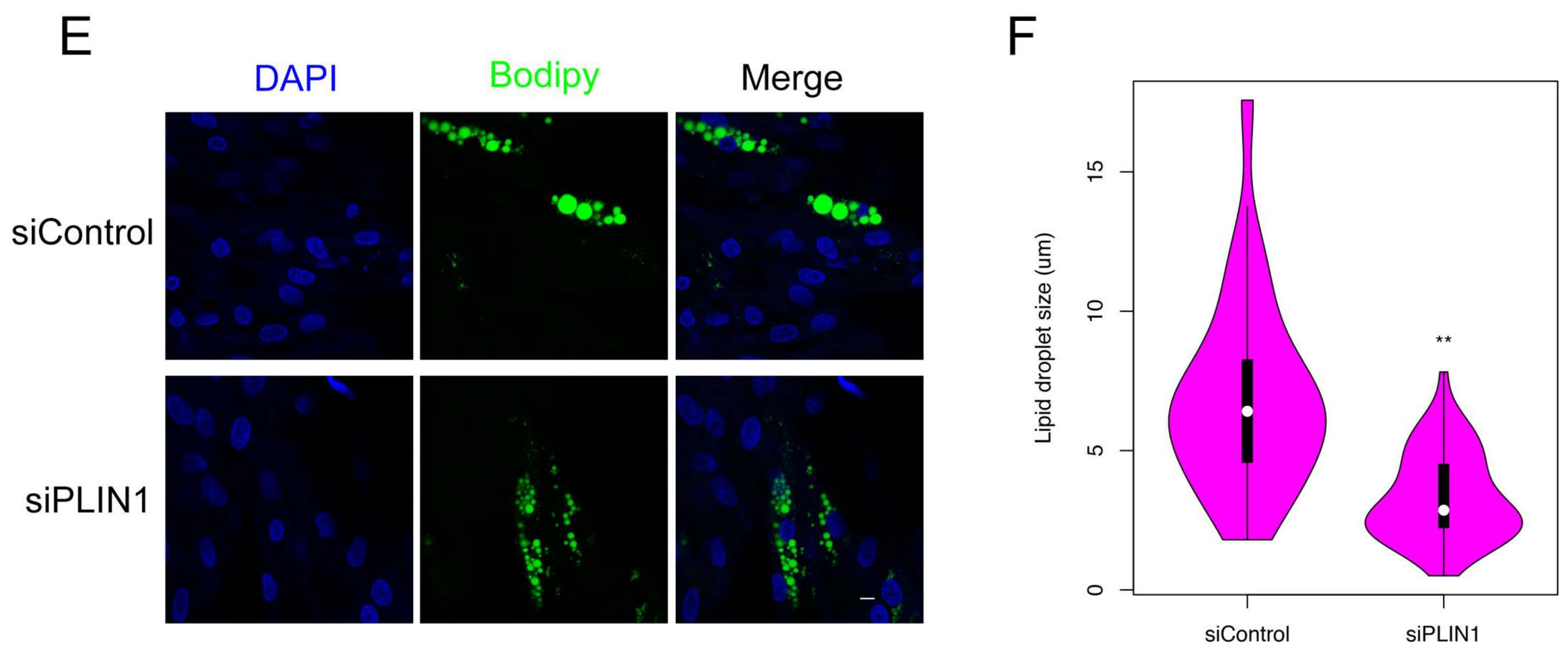 Genes 09 00194 g008b Genes 09 00194 g008b