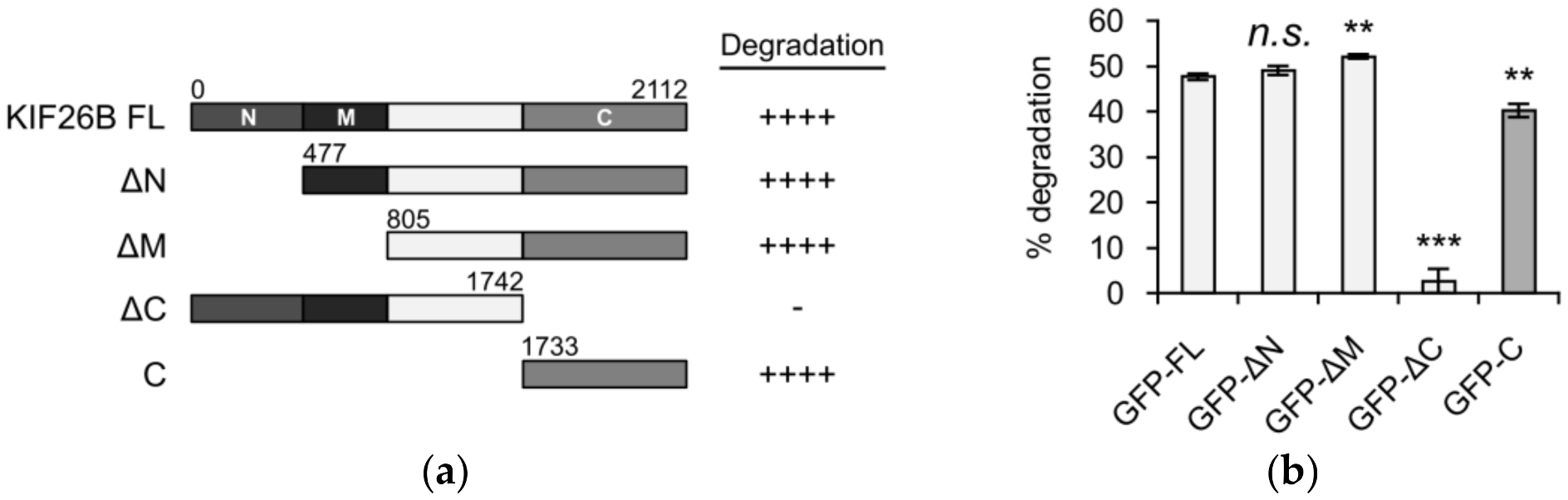 Genes 09 00196 g001a