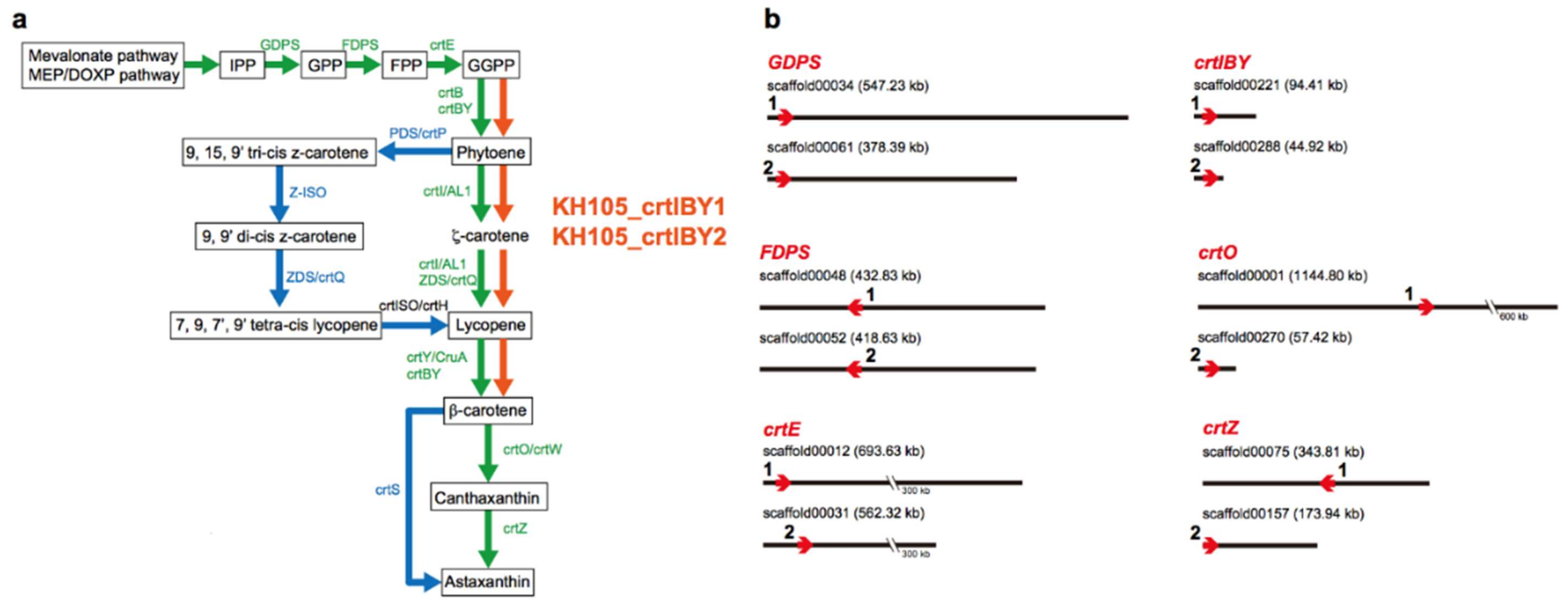 Genes 09 00200 g001 Genes 09 00200 g001