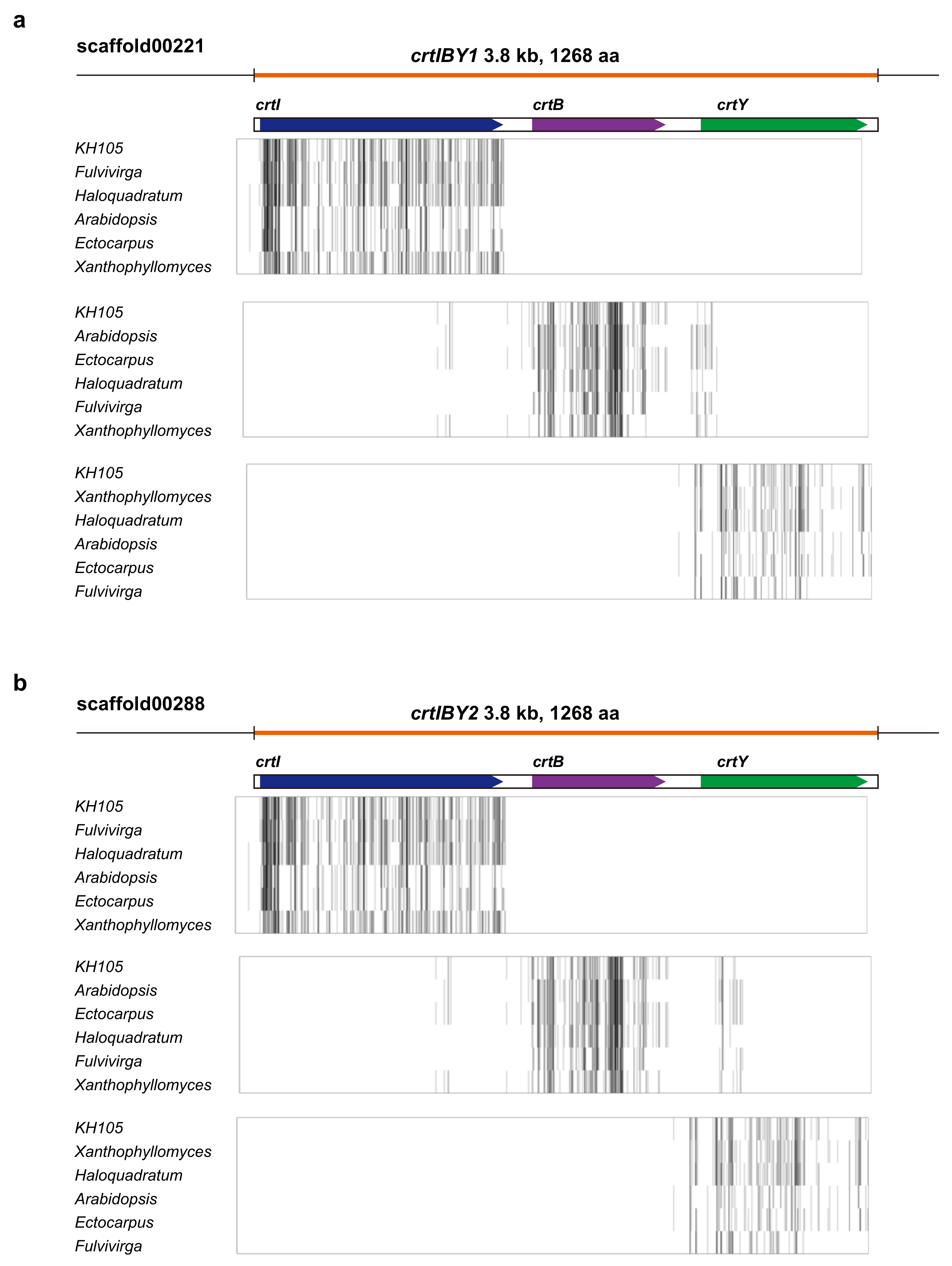 Genes 09 00200 g002 Genes 09 00200 g002
