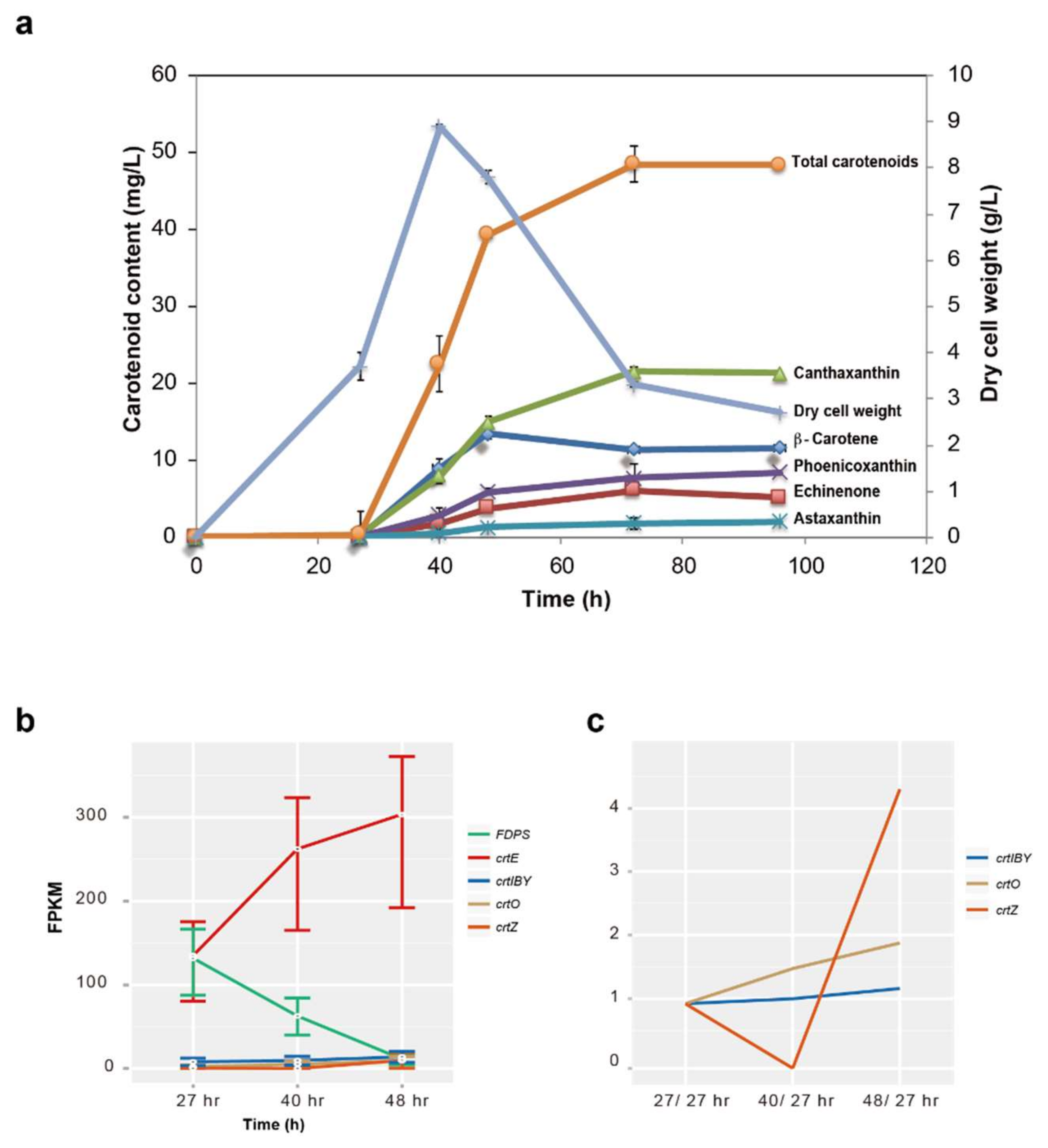 Genes 09 00200 g004 Genes 09 00200 g004