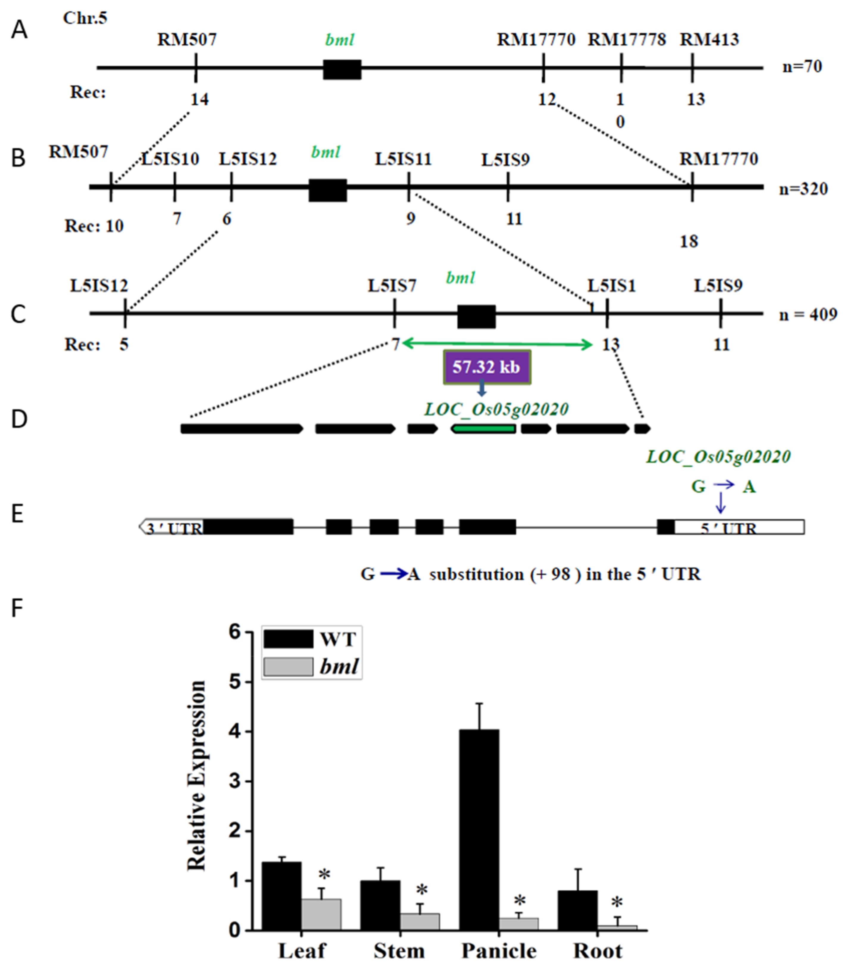 Genes 09 00203 g002 Genes 09 00203 g002