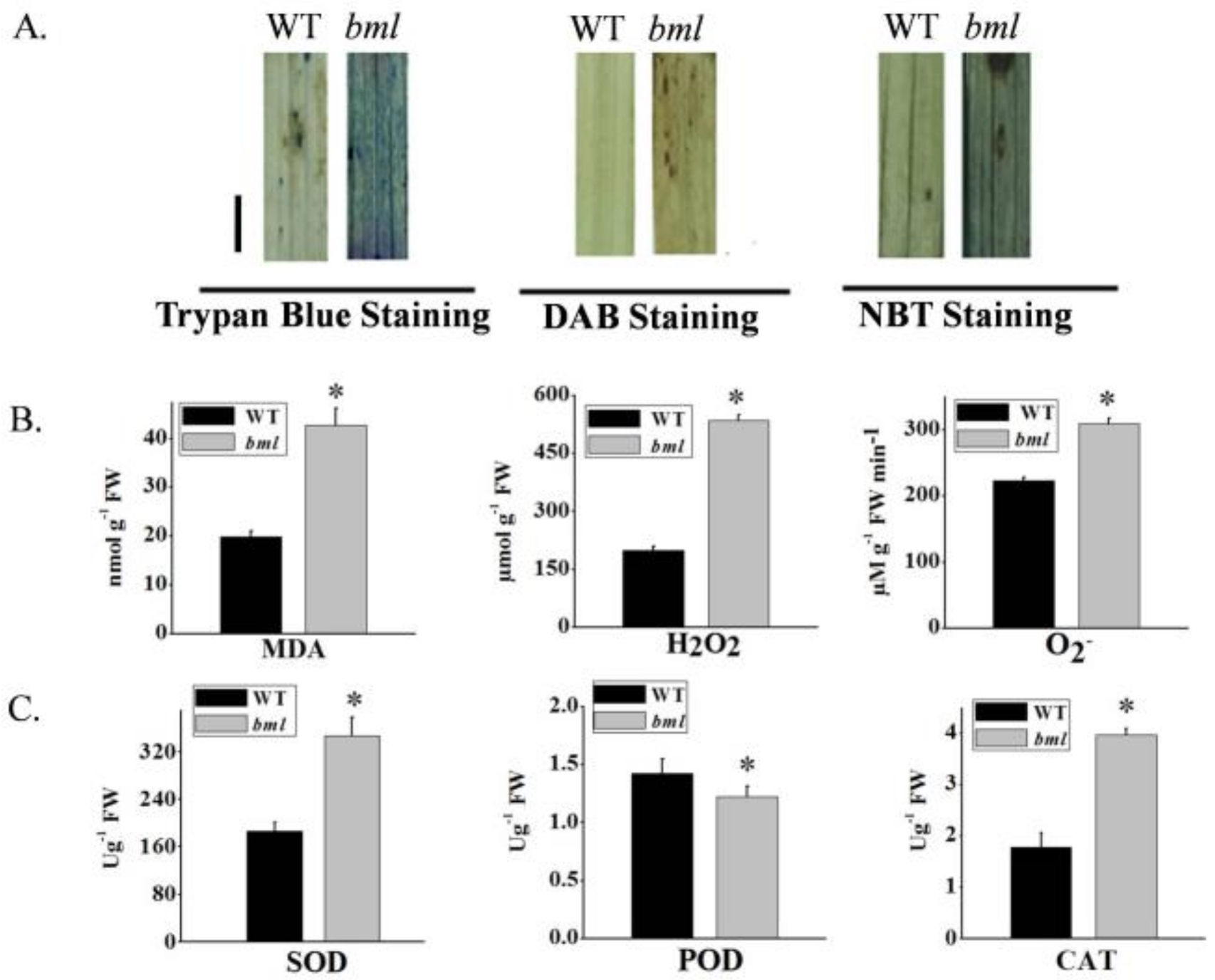 Genes 09 00203 g007 Genes 09 00203 g007