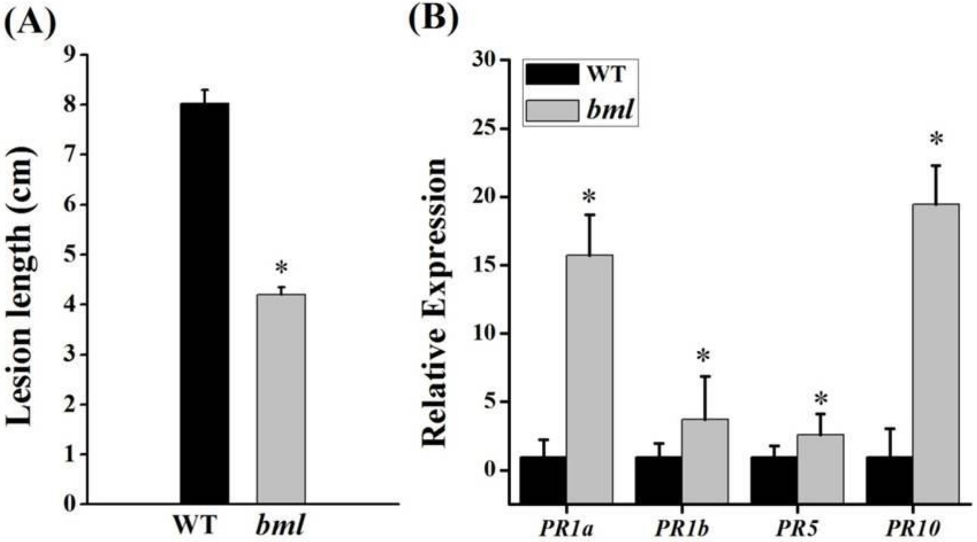 Genes 09 00203 g008 Genes 09 00203 g008