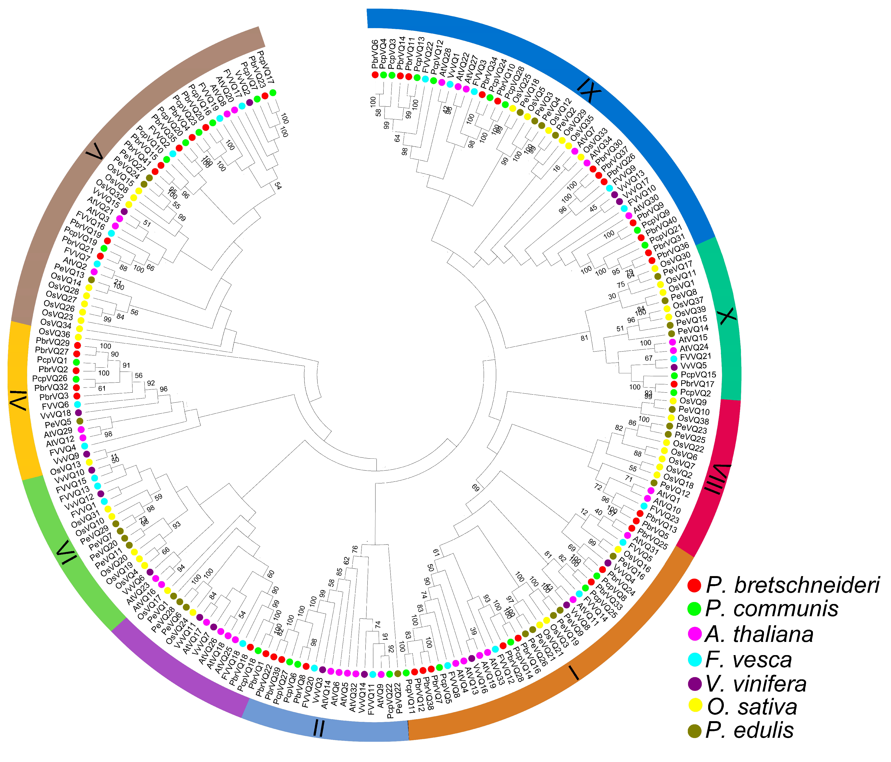 Genes 09 00224 g002 Genes 09 00224 g002