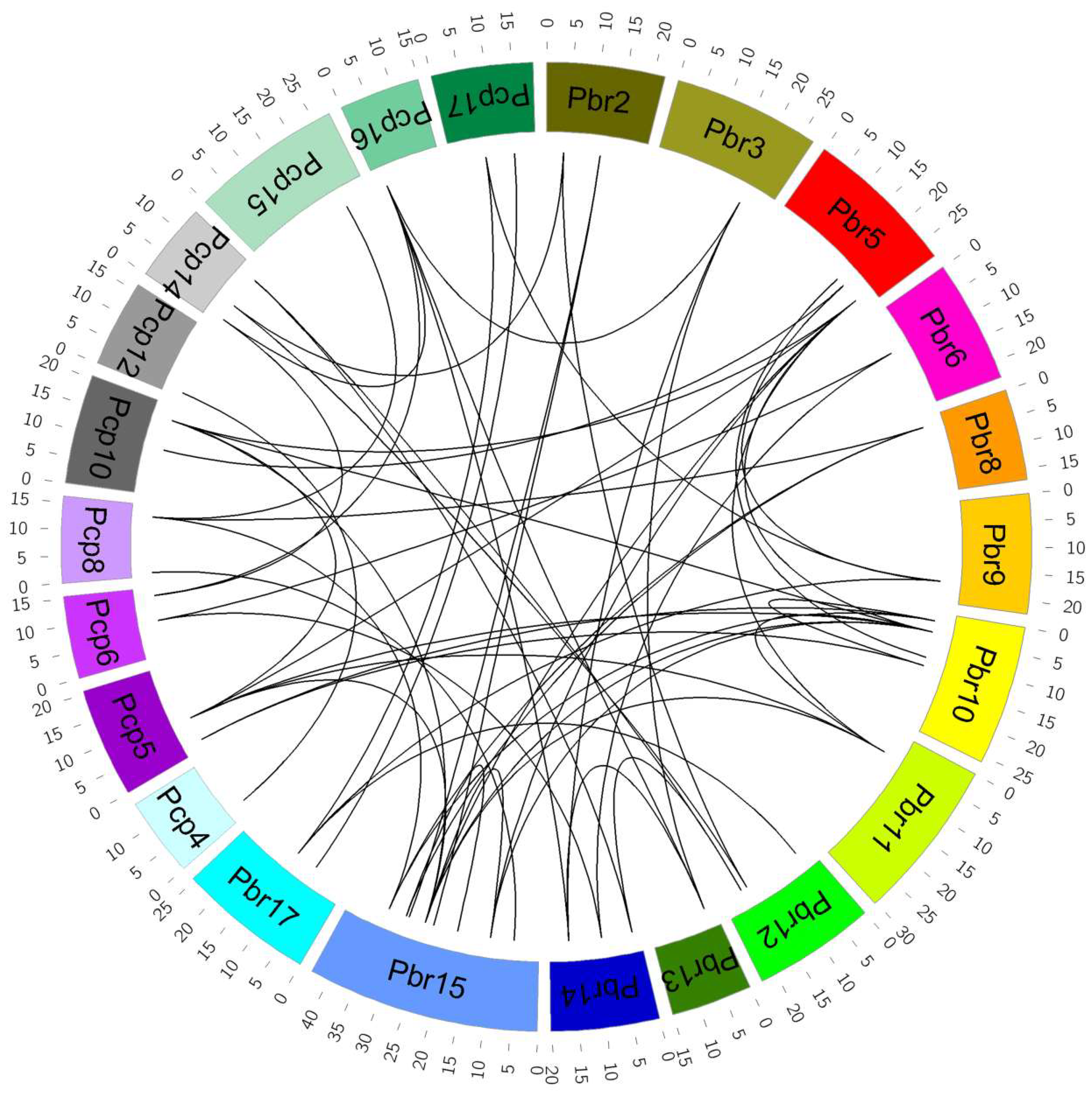 Genes 09 00224 g004 Genes 09 00224 g004