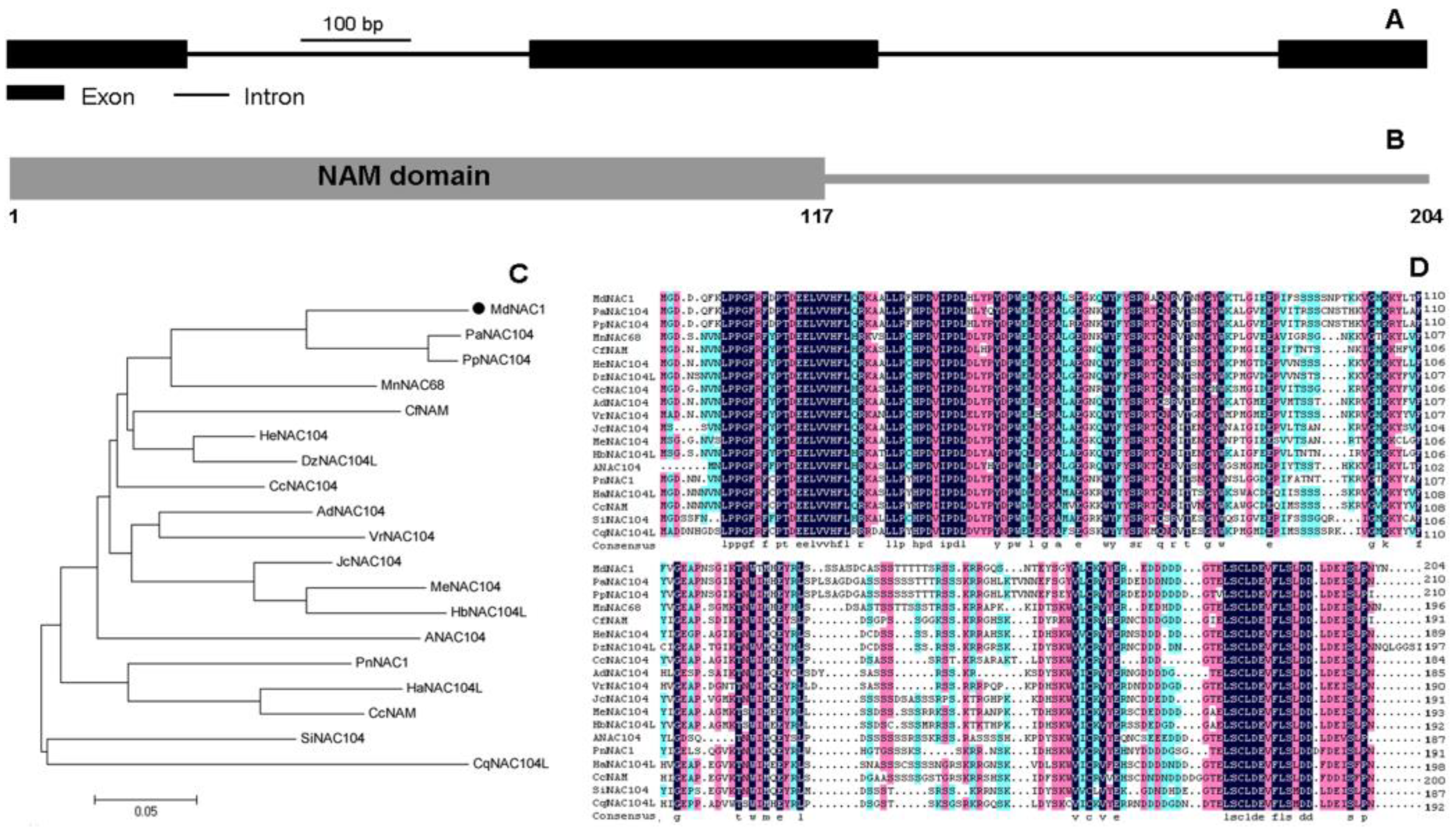 Genes 09 00229 g001