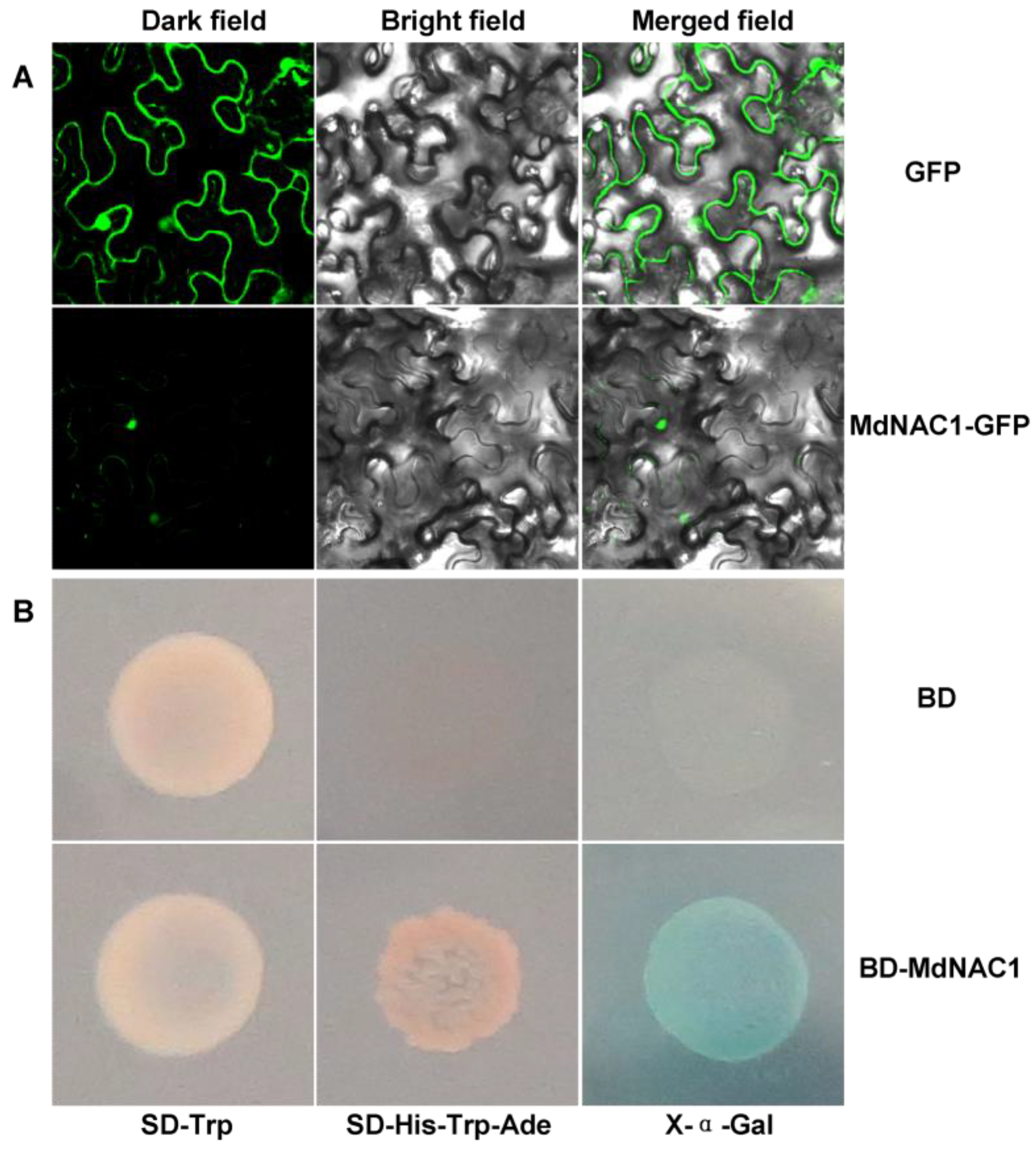 Genes 09 00229 g002