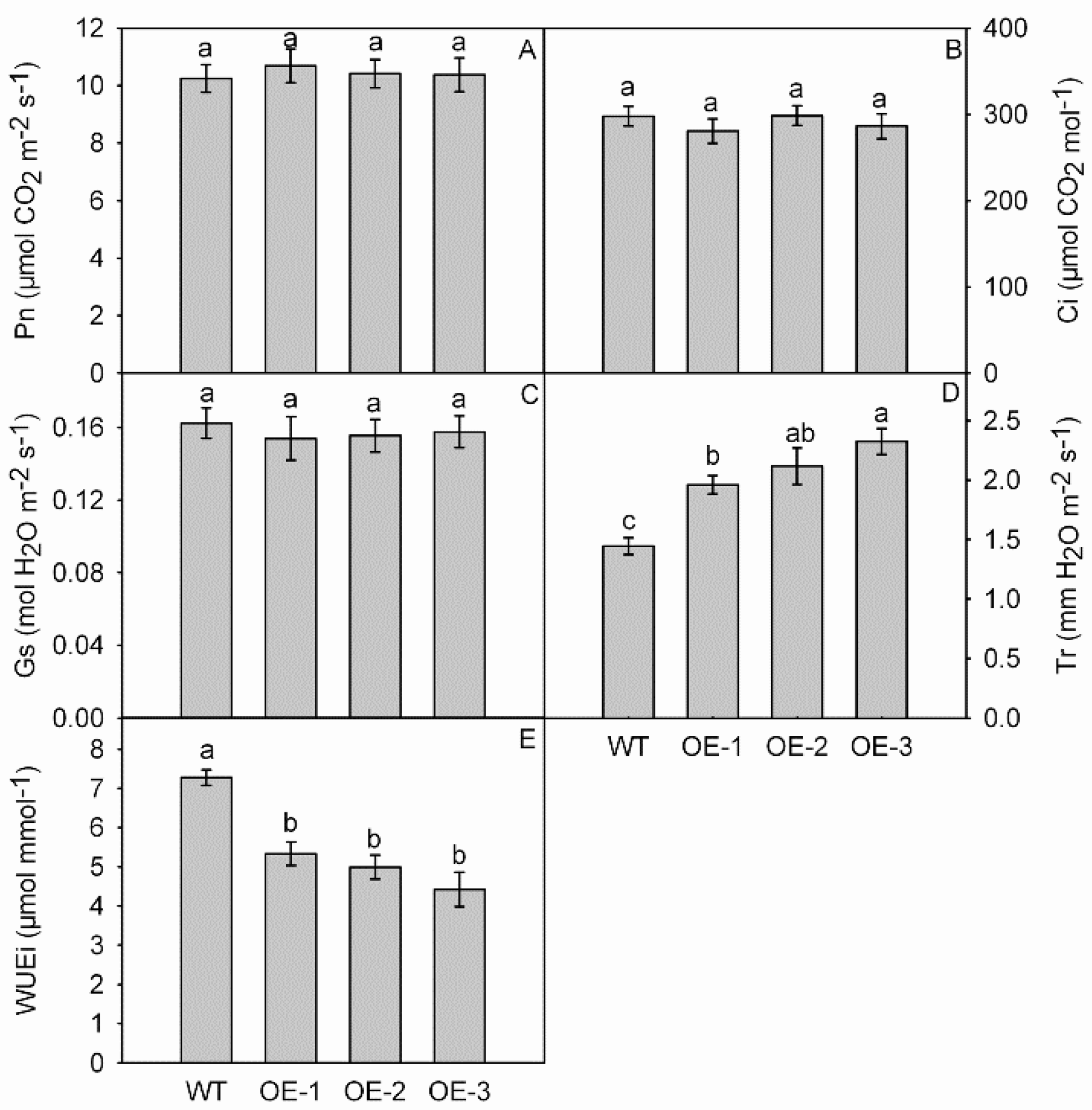 Genes 09 00229 g005
