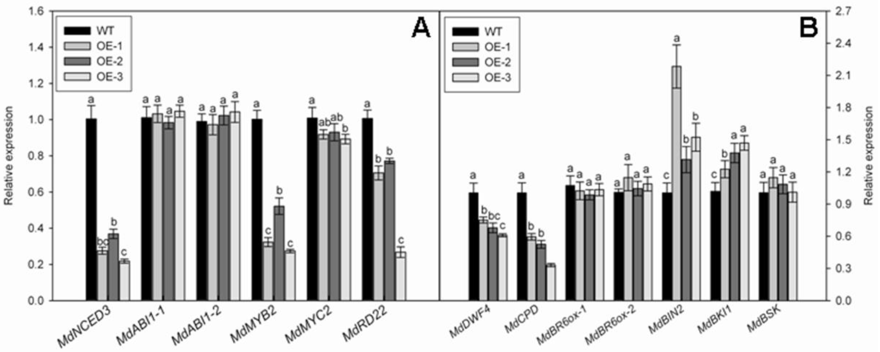 Genes 09 00229 g007