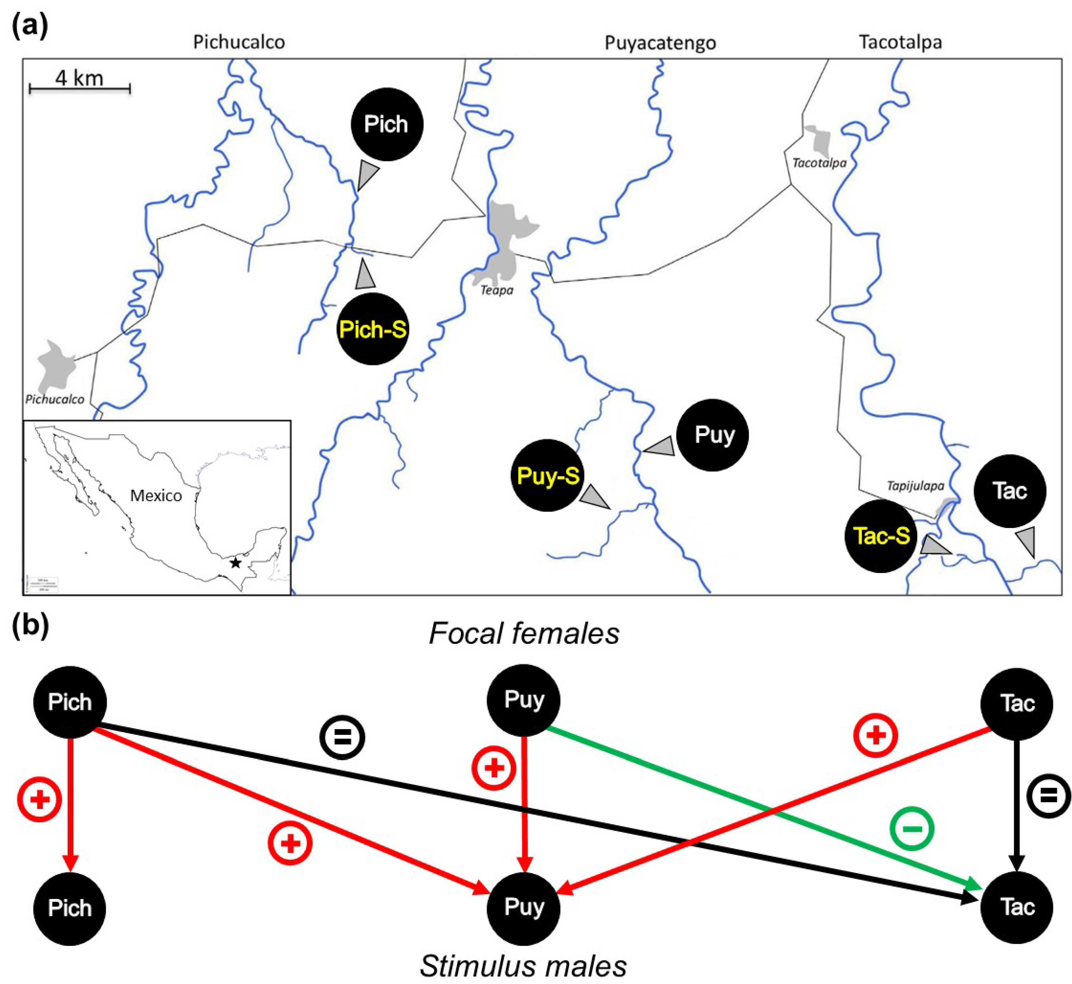 Genes 09 00232 g001 Genes 09 00232 g001