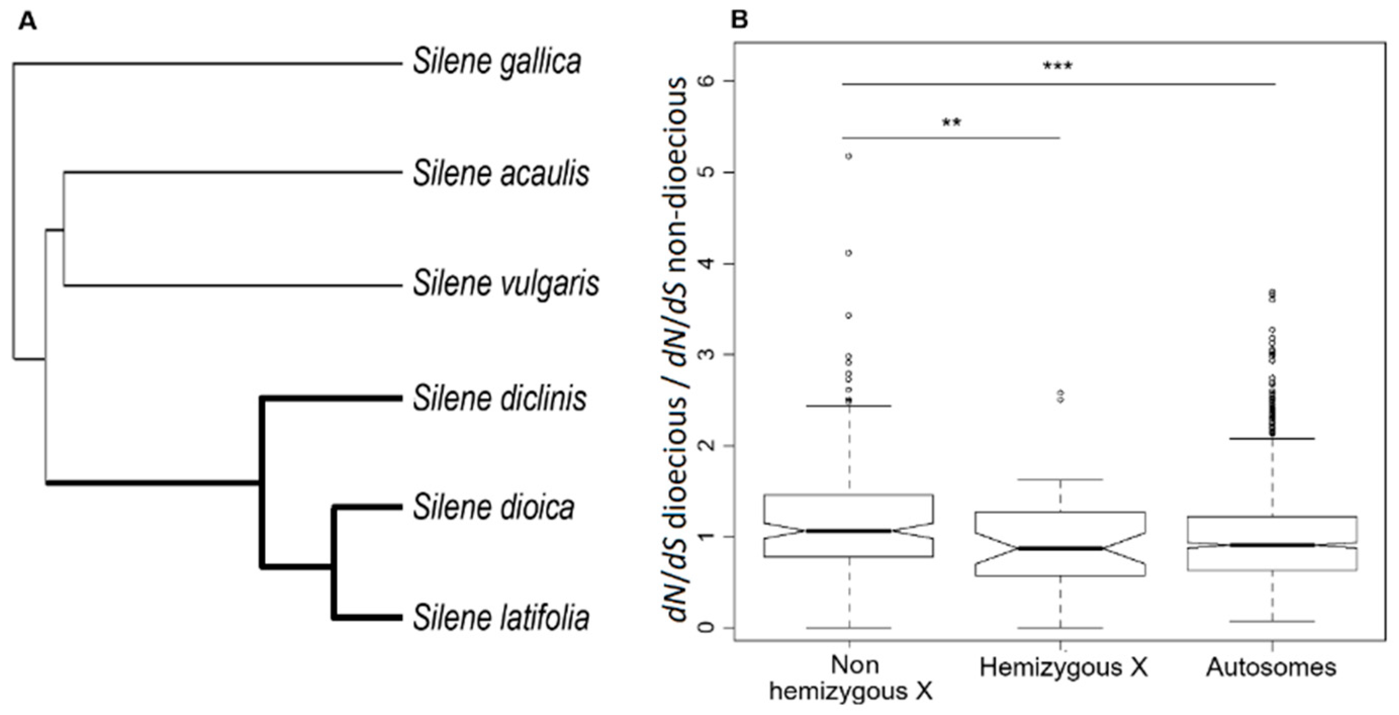 Genes 09 00234 g002 Genes 09 00234 g002