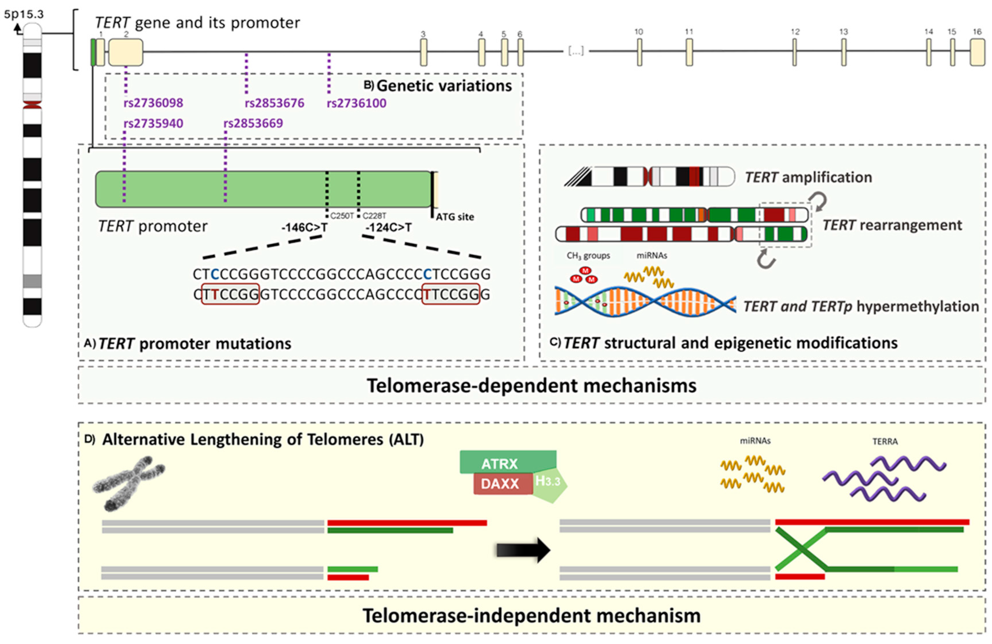 Genes 09 00241 g001 Genes 09 00241 g001