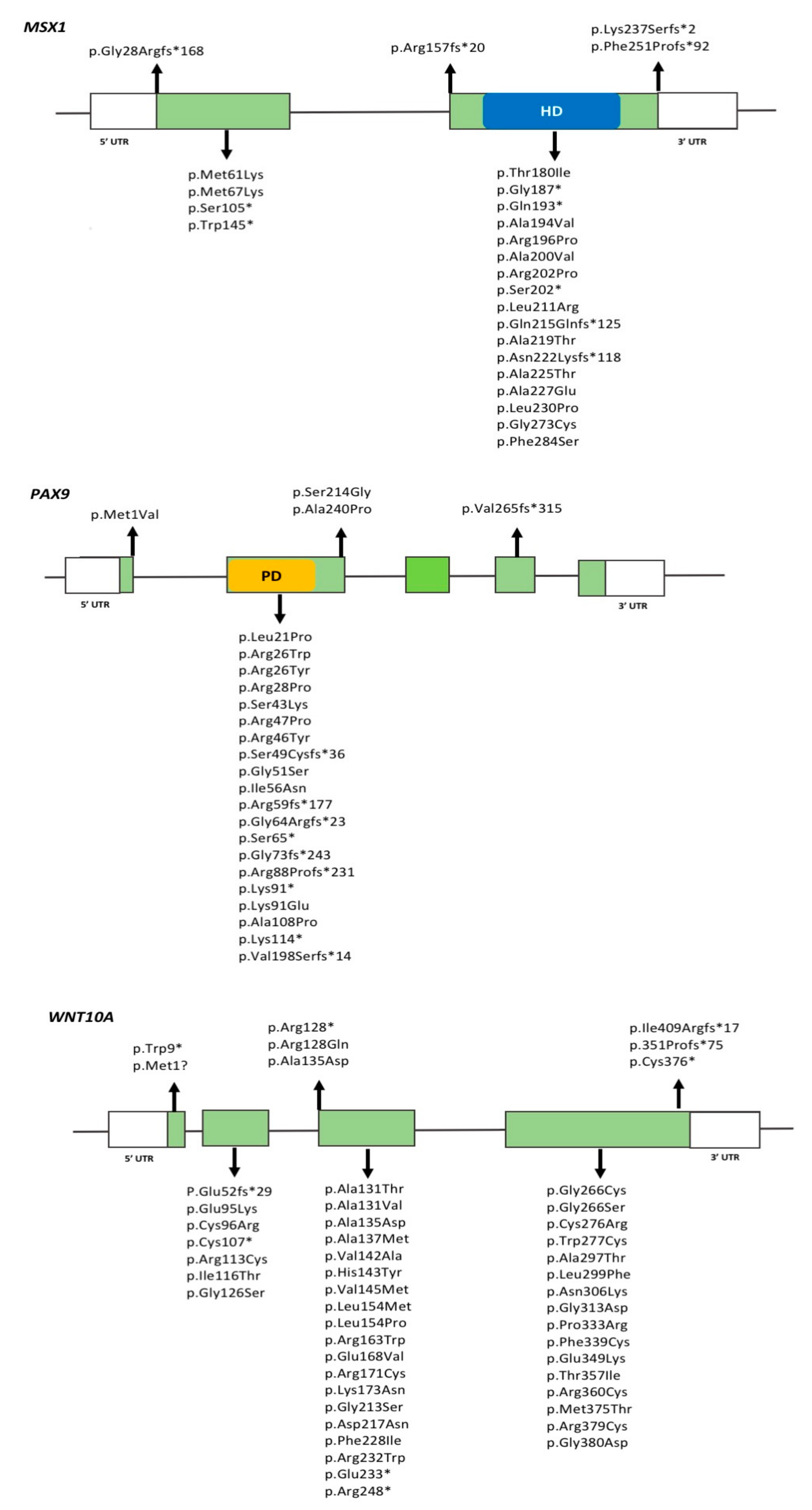 Genes 09 00255 g001