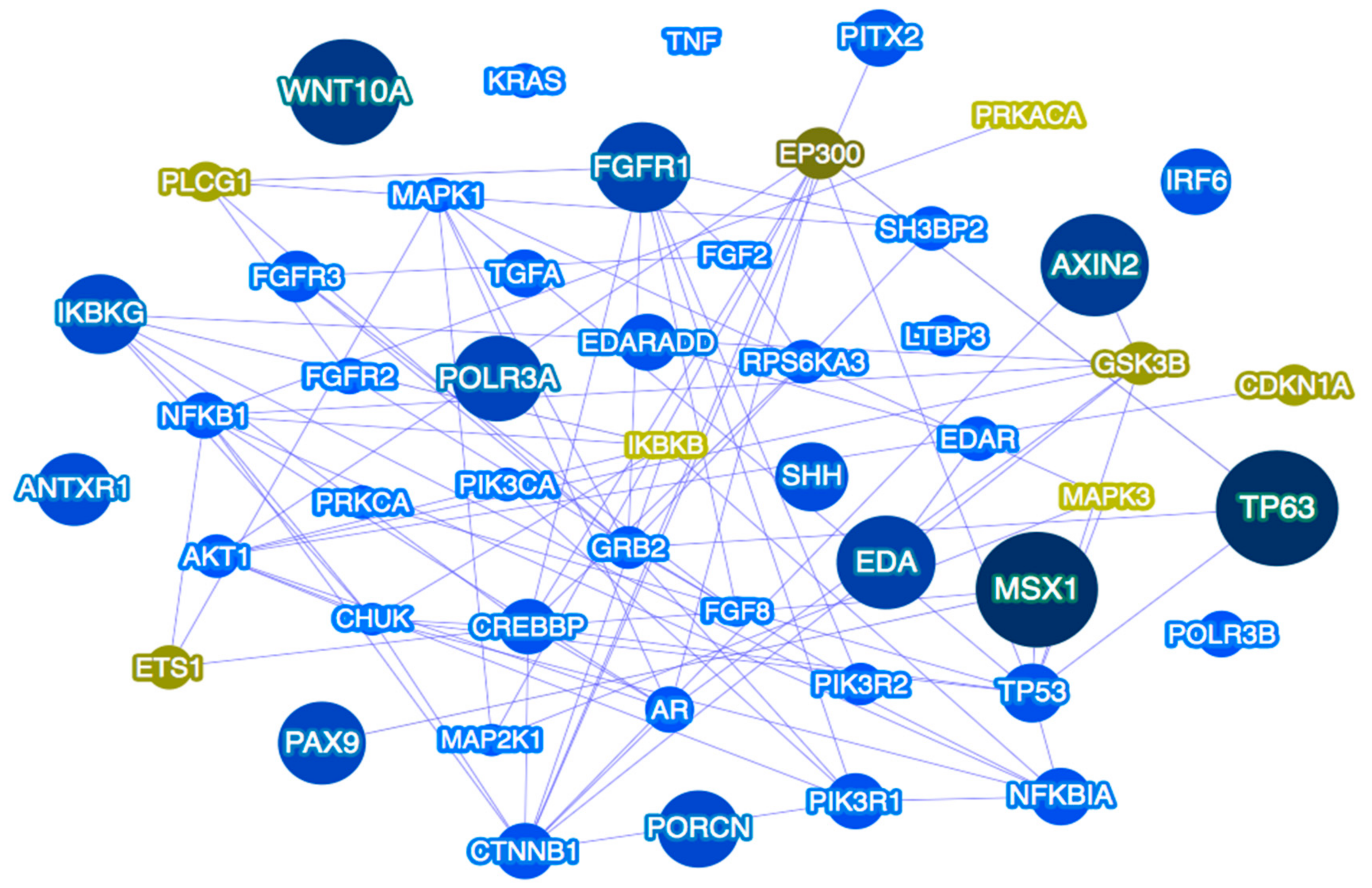 Genes 09 00255 g002