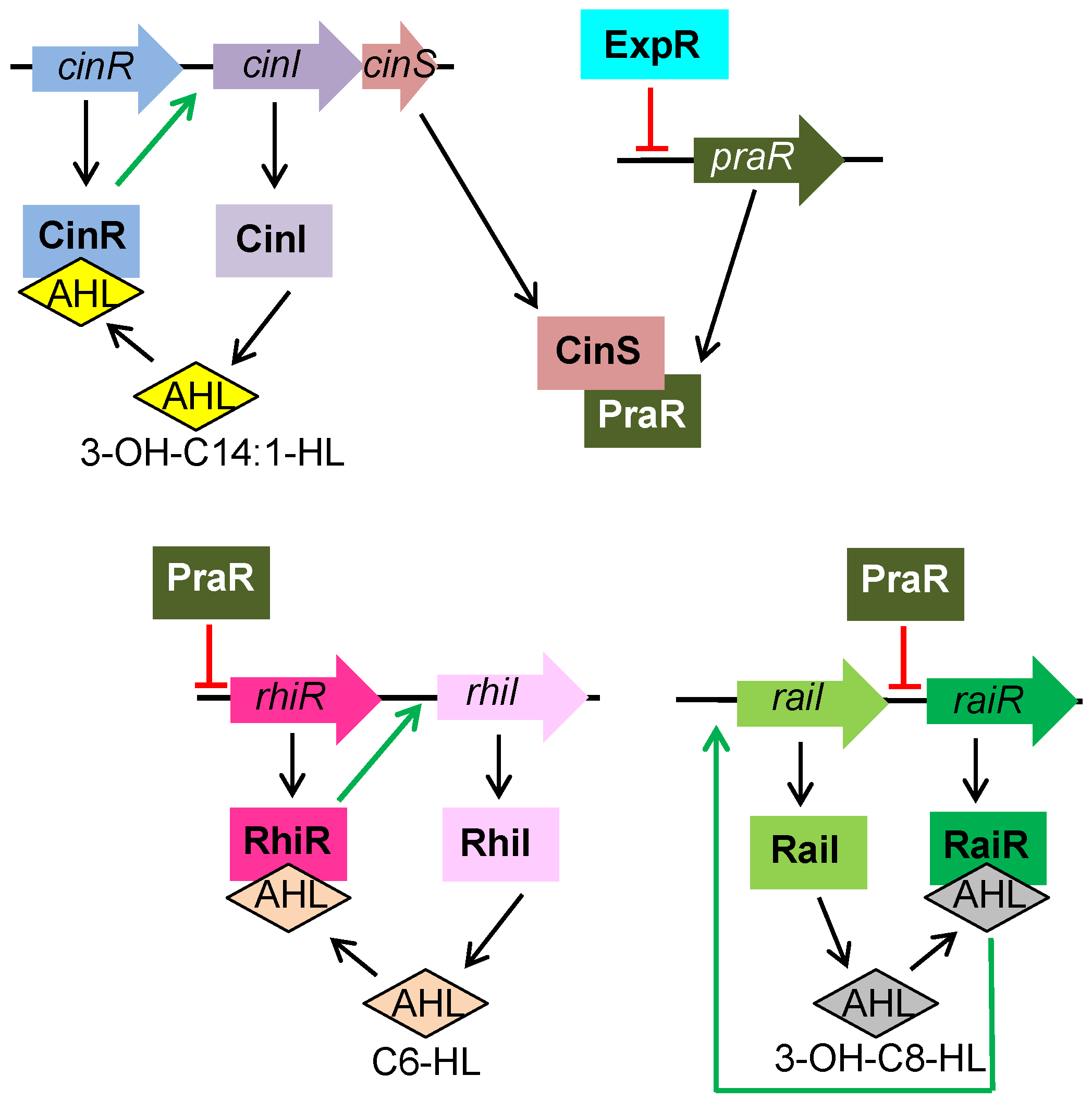 Genes 09 00263 g002 Genes 09 00263 g002