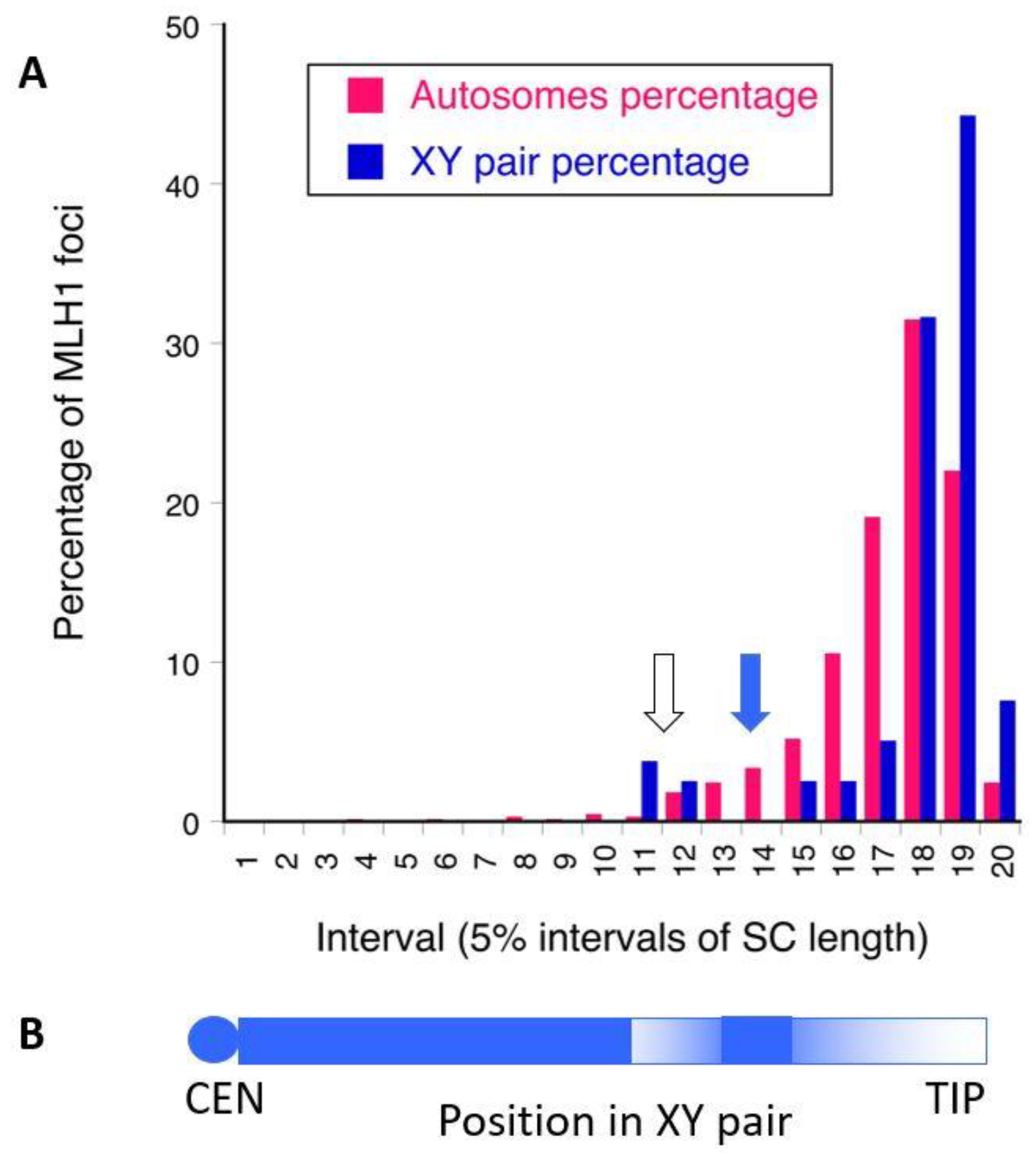 Genes 09 00264 g002 Genes 09 00264 g002