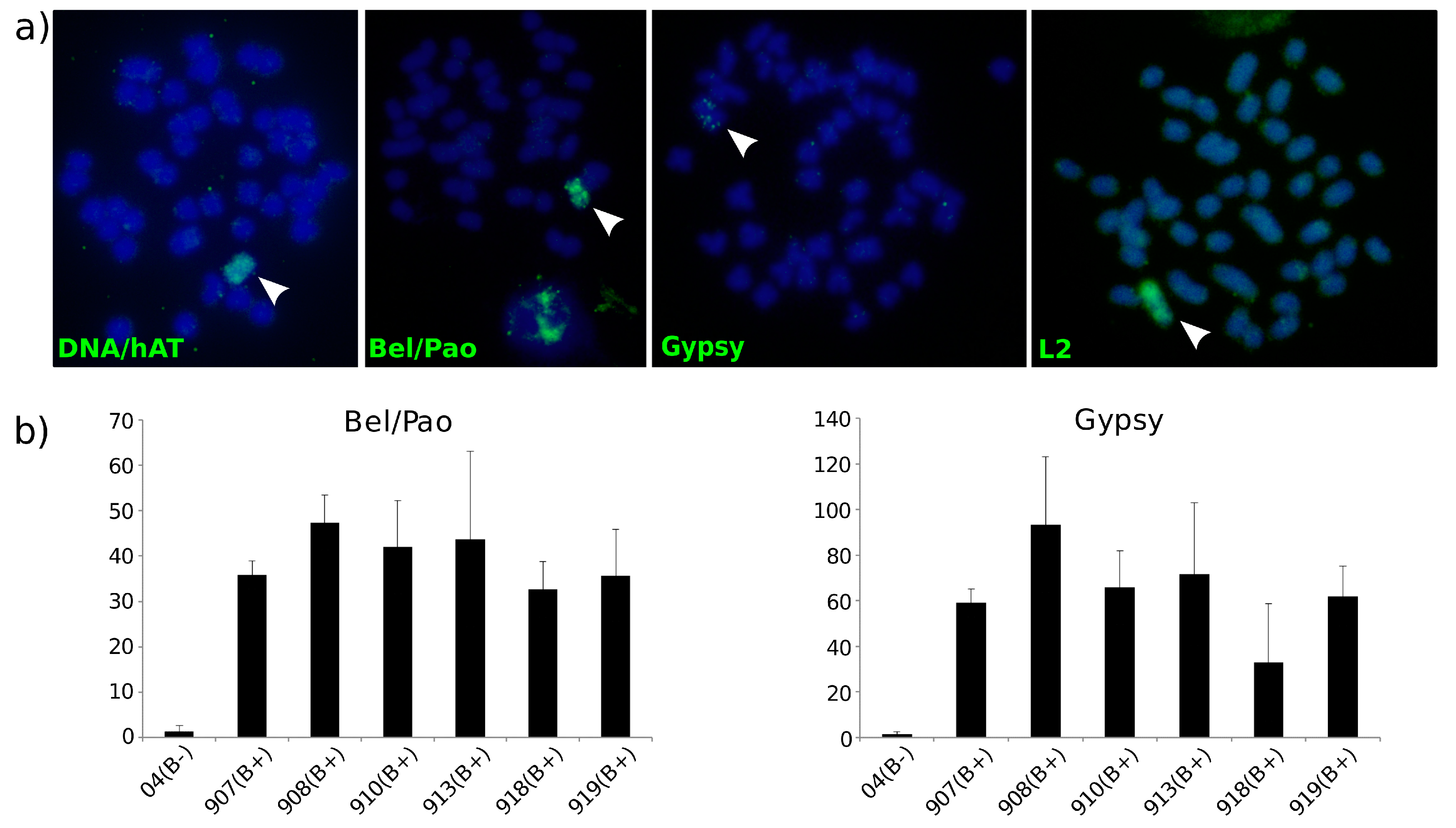 Genes 09 00269 g002 Genes 09 00269 g002