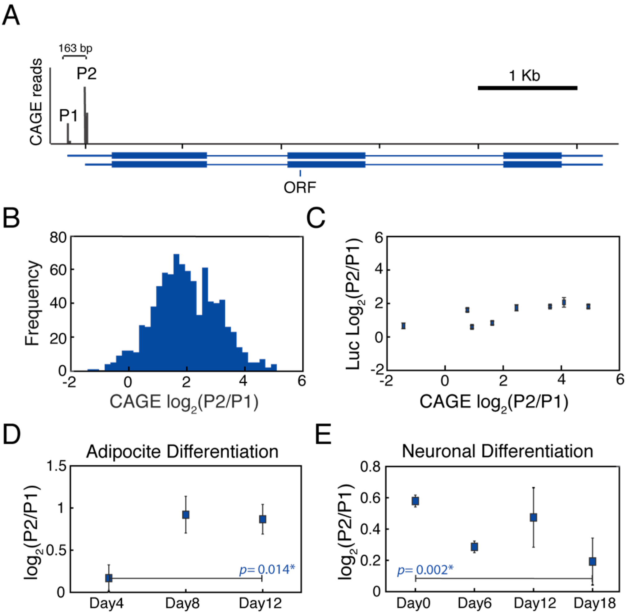 Genes 09 00270 g001