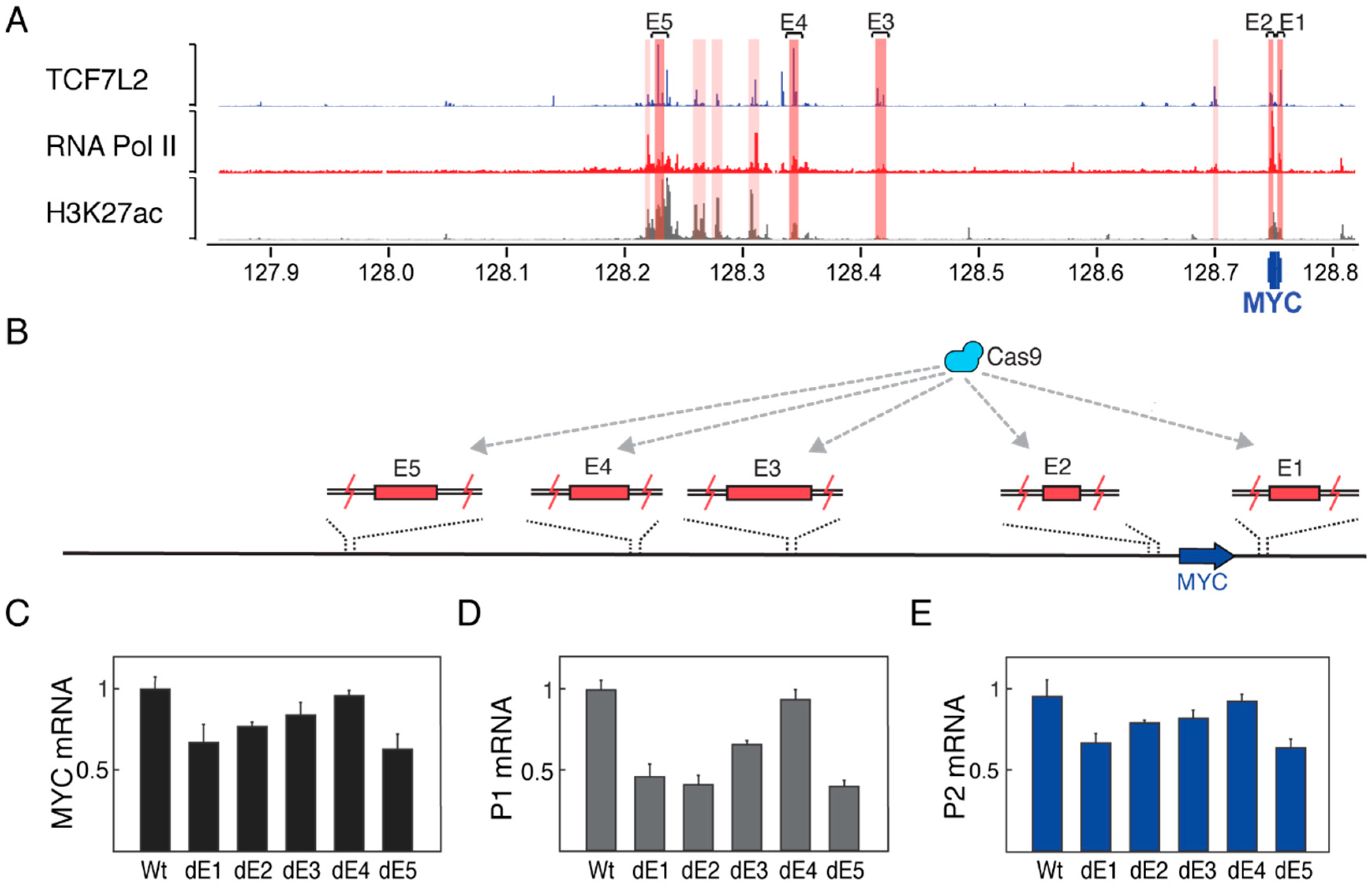 Genes 09 00270 g003