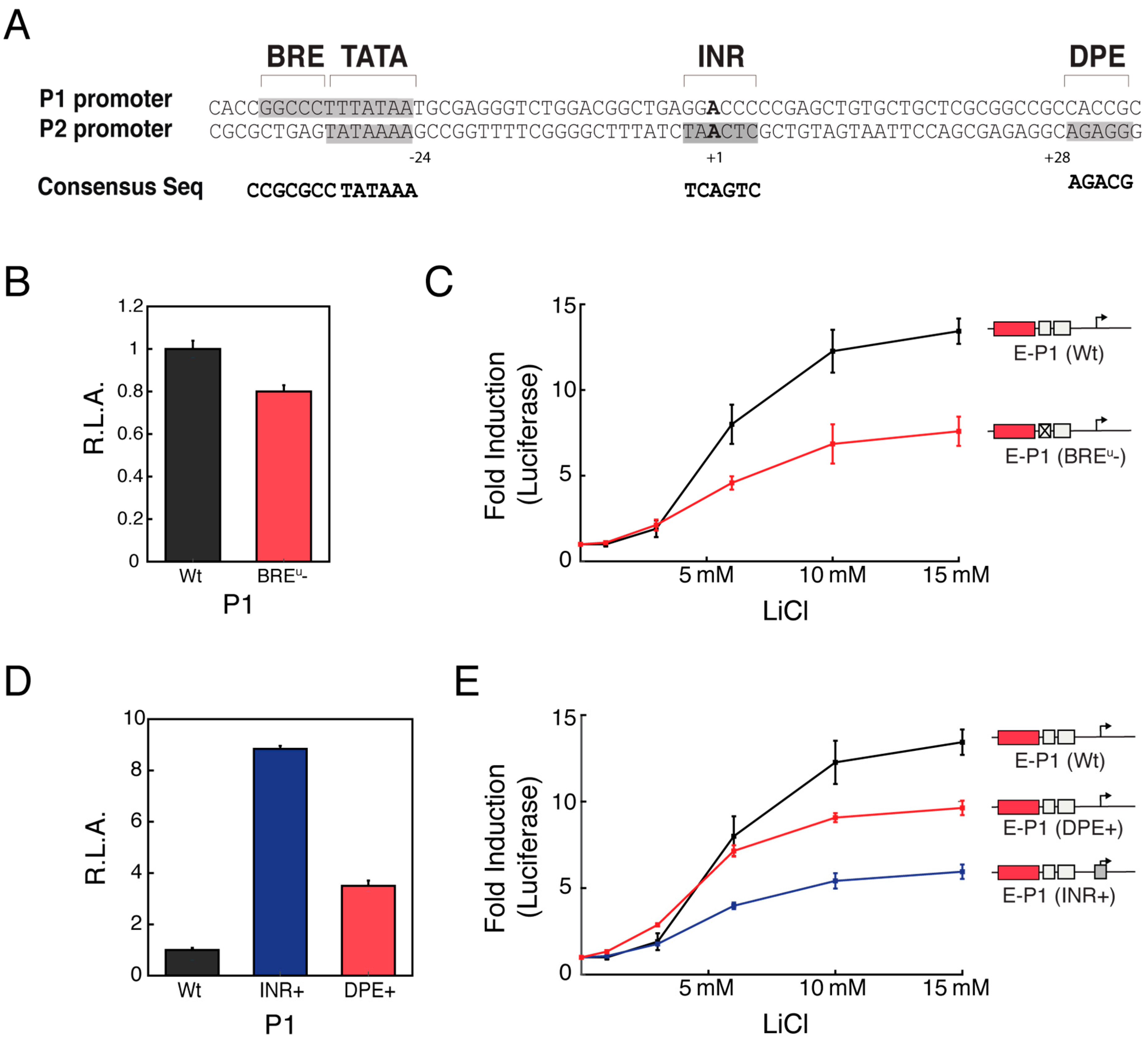 Genes 09 00270 g004